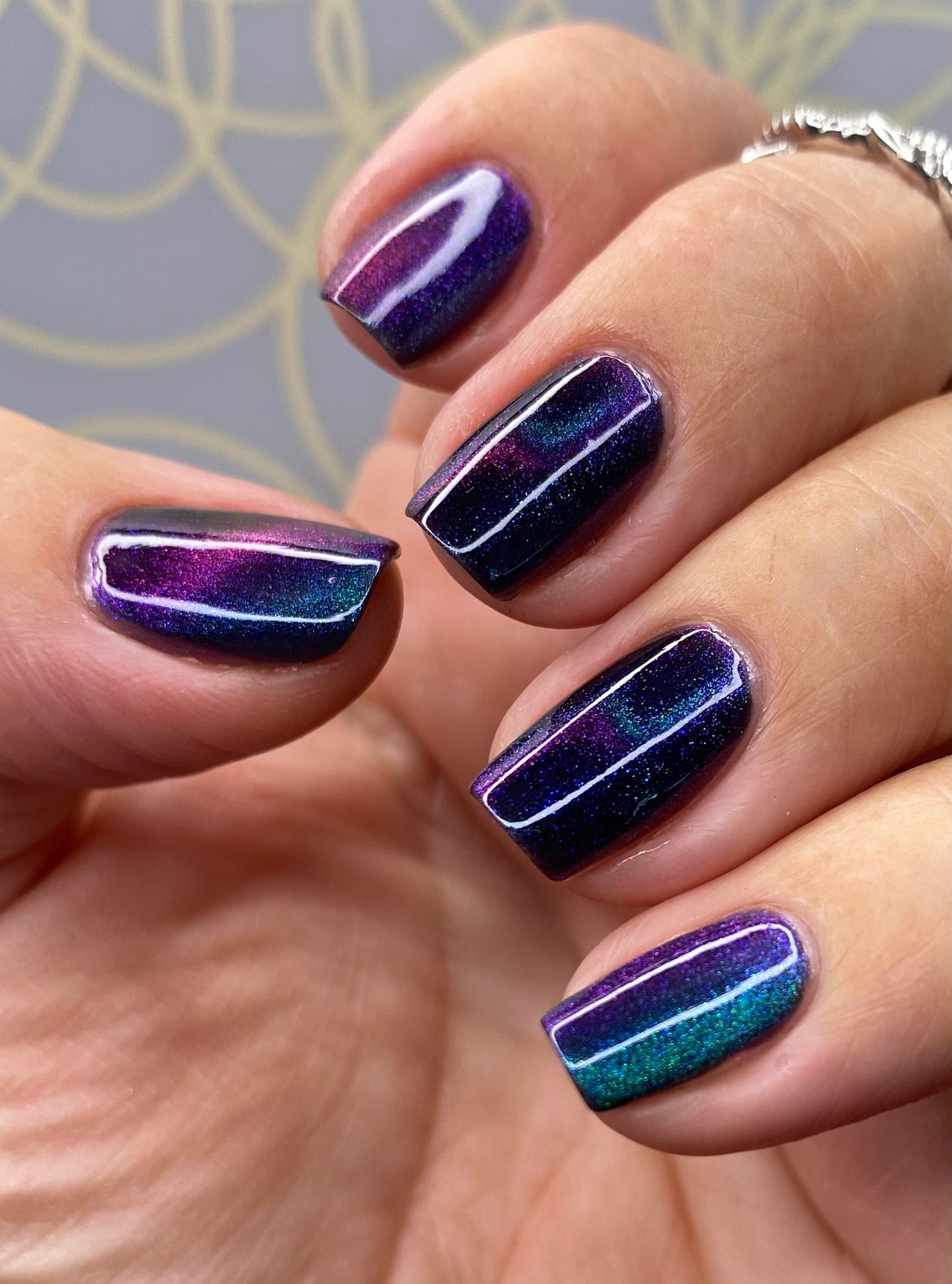 ONLY PETS ALLOWED (magnetic)