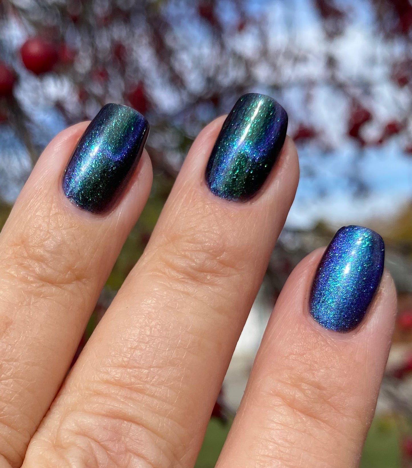 DO NOT DISTURB (magnetic)