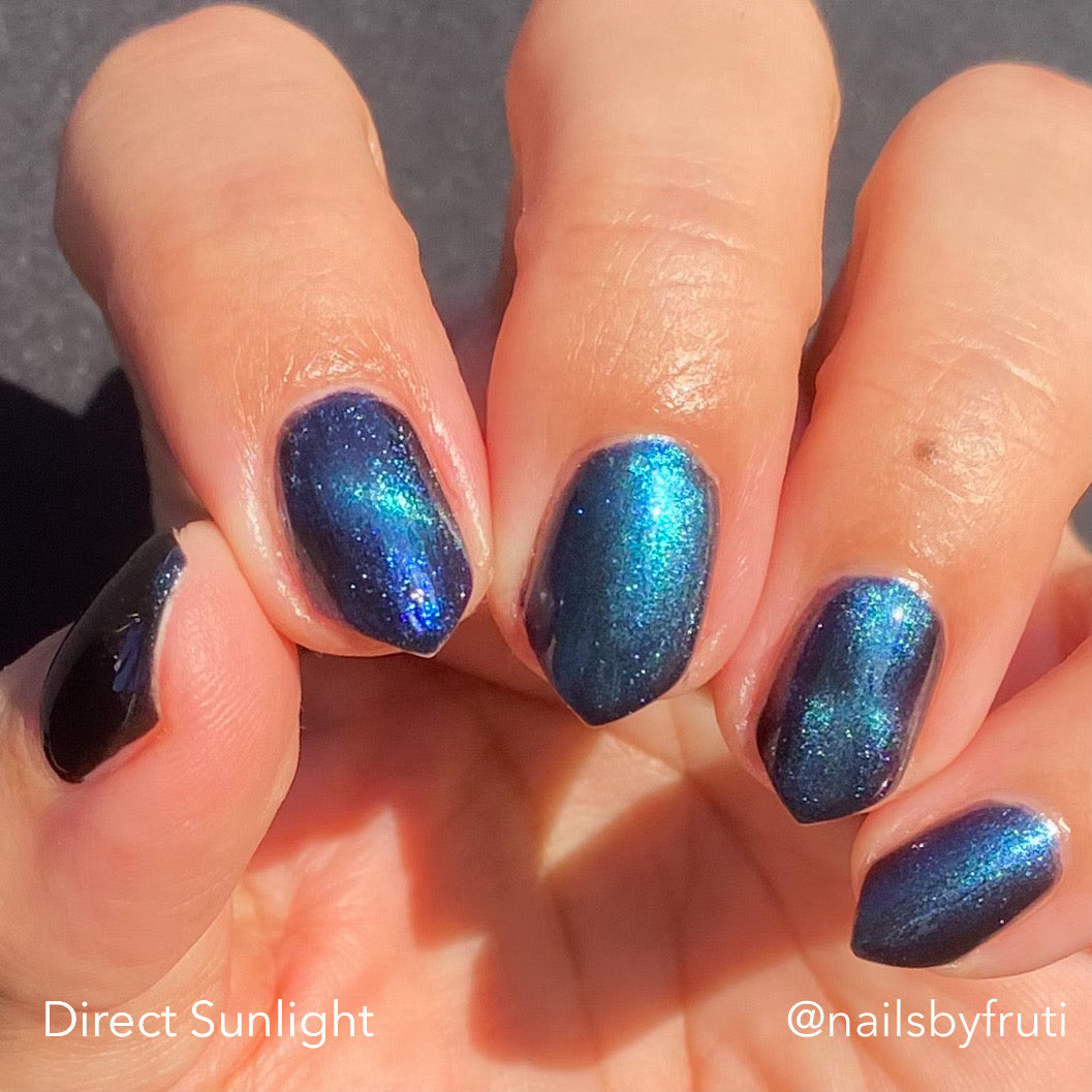 ONLY PETS ALLOWED (magnetic)