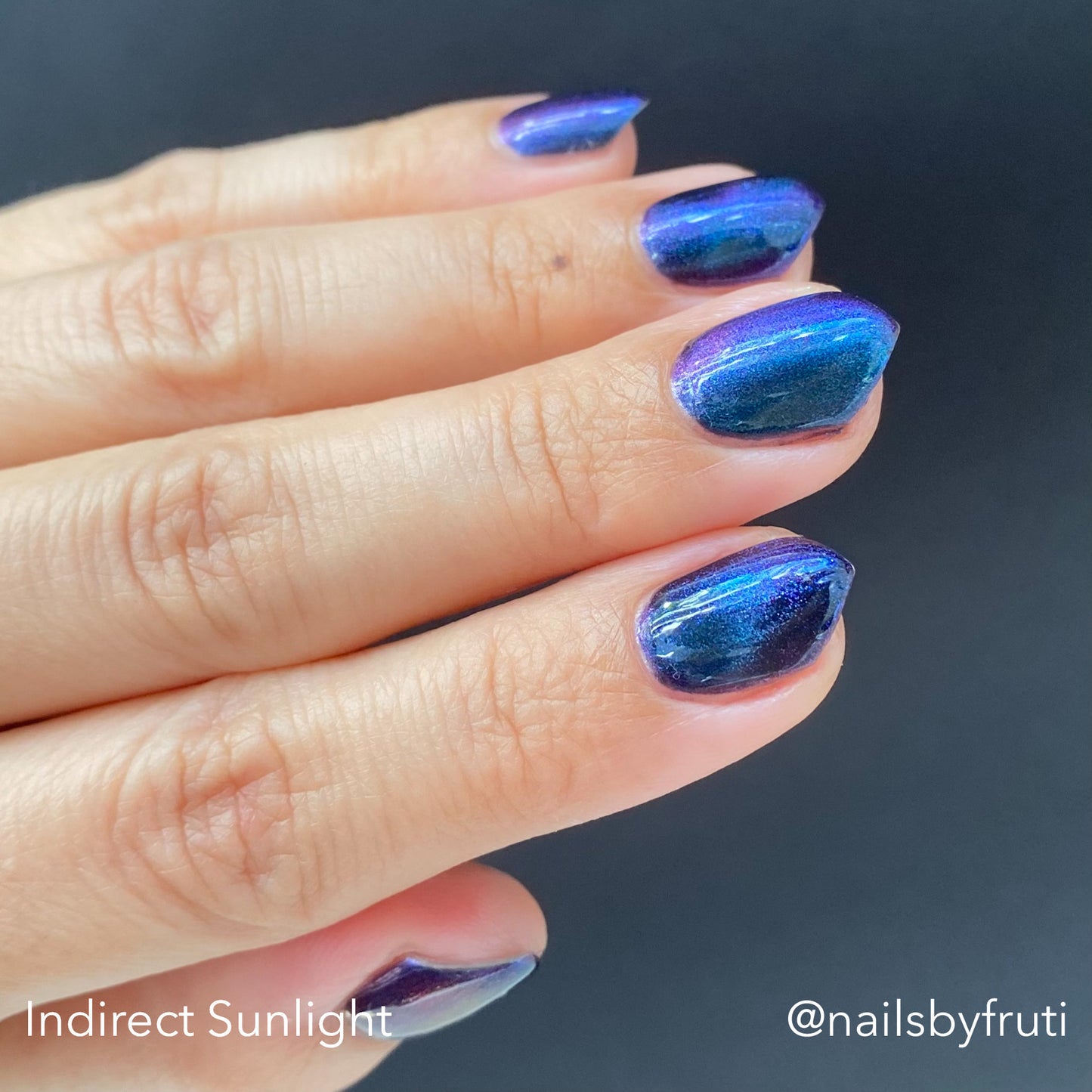 ONLY PETS ALLOWED (magnetic)