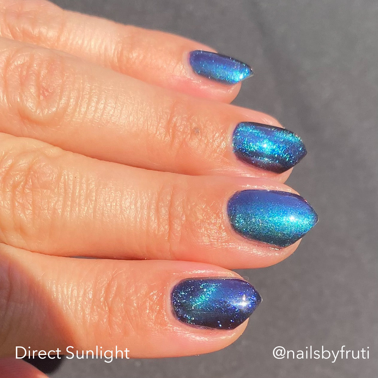 ONLY PETS ALLOWED (magnetic)