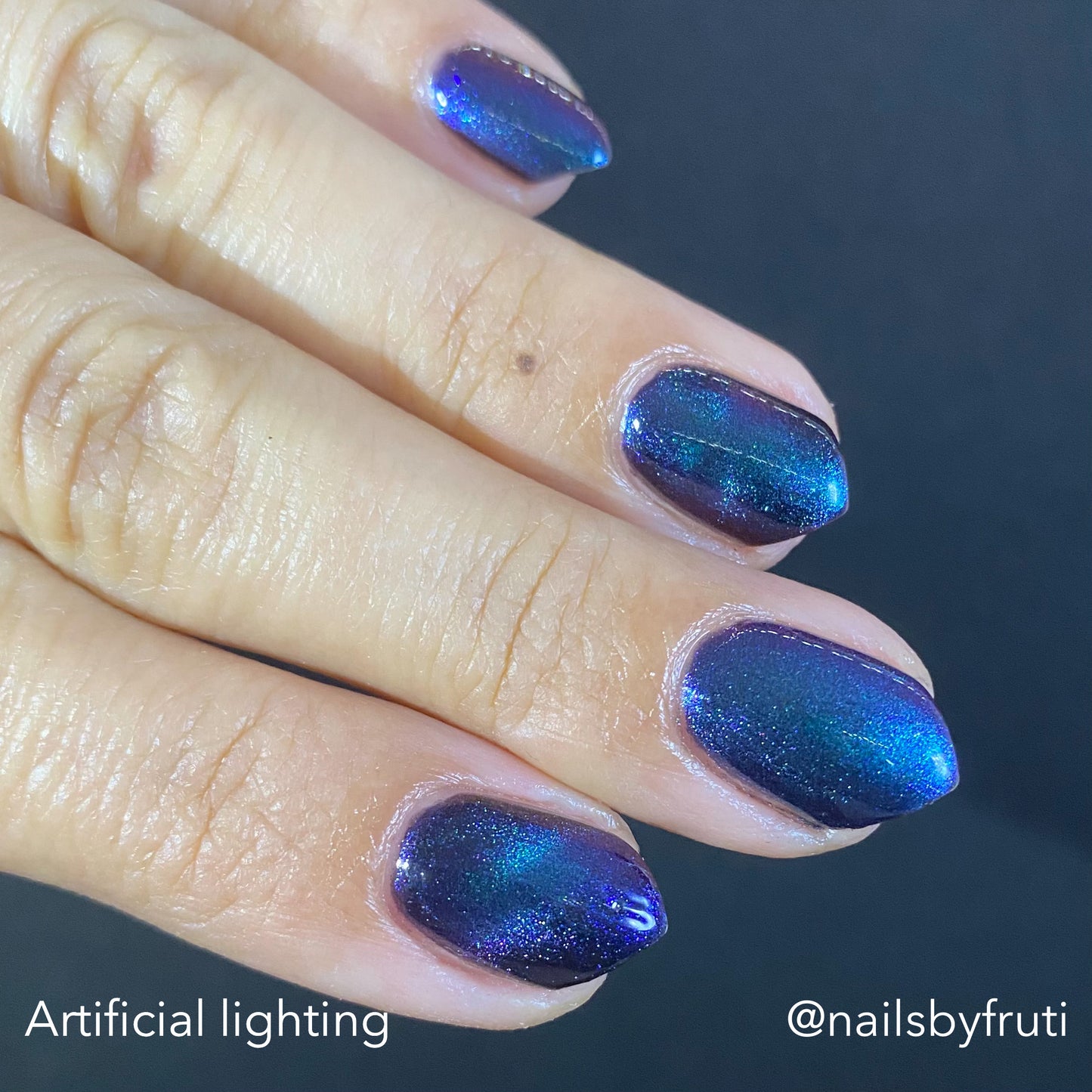 ONLY PETS ALLOWED (magnetic)