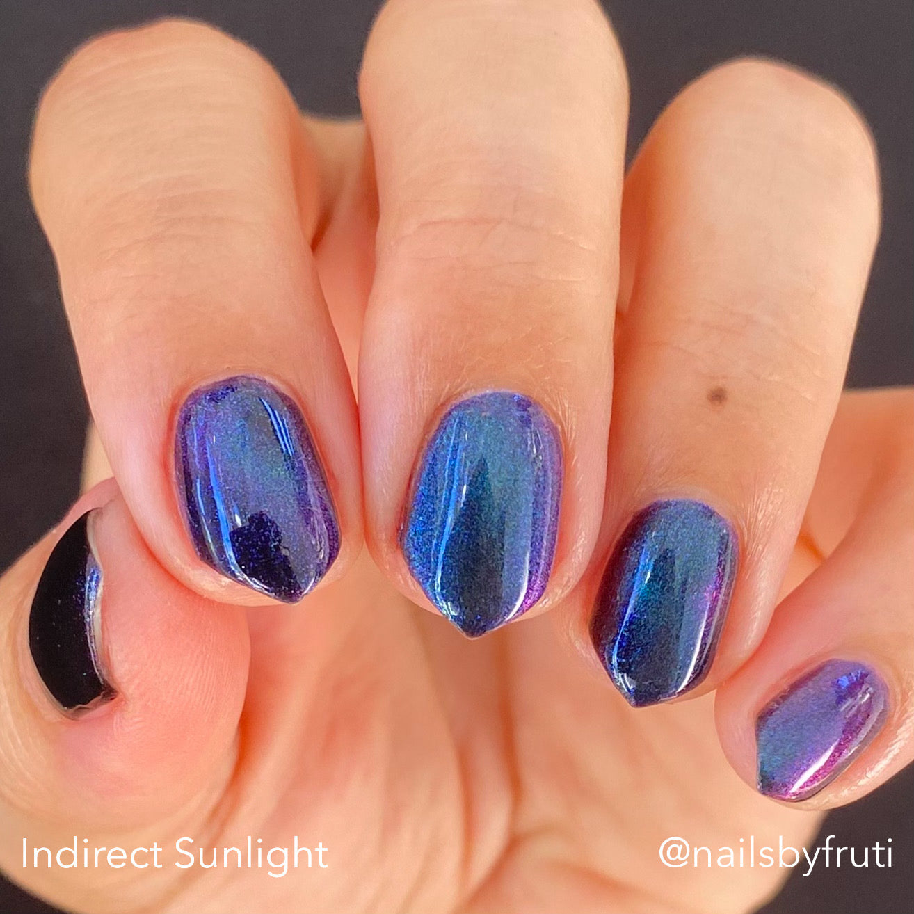 ONLY PETS ALLOWED (magnetic)