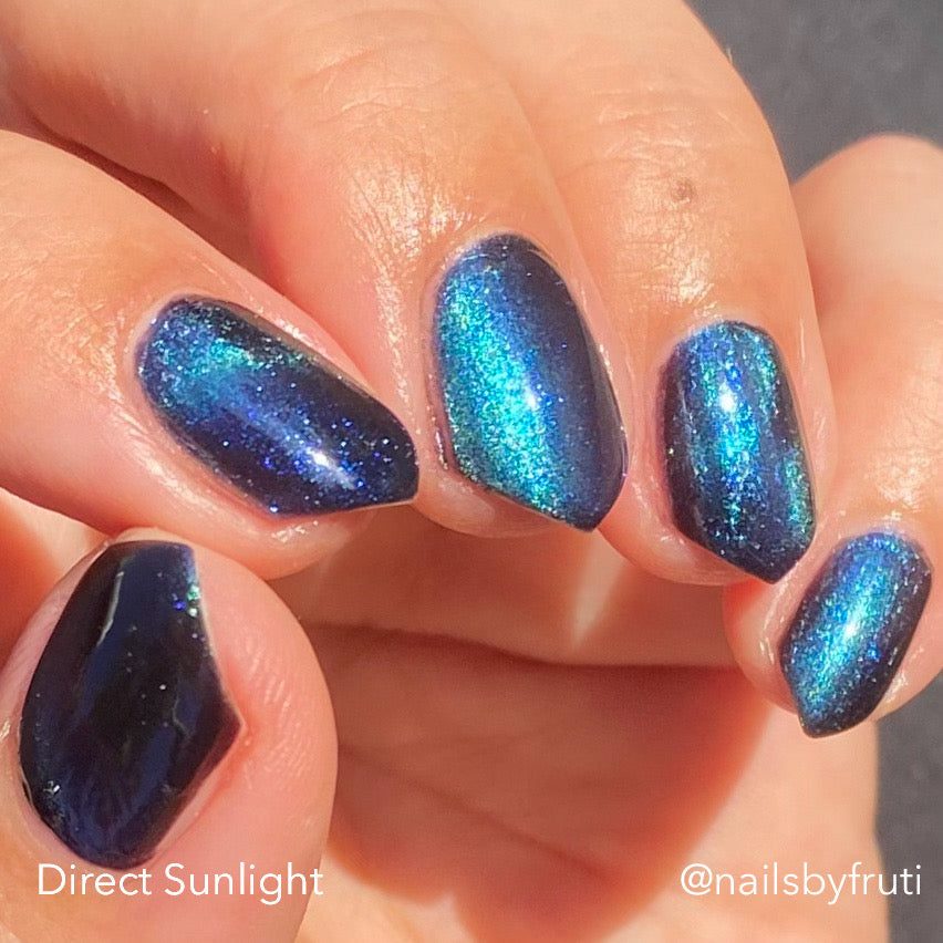 ONLY PETS ALLOWED (magnetic)