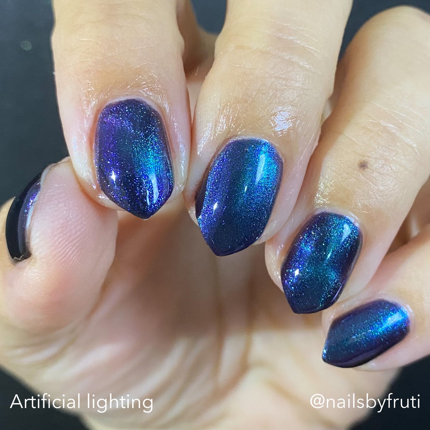 ONLY PETS ALLOWED (magnetic)