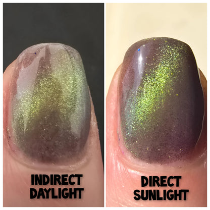 SAND NUDIES (solar & magnetic)
