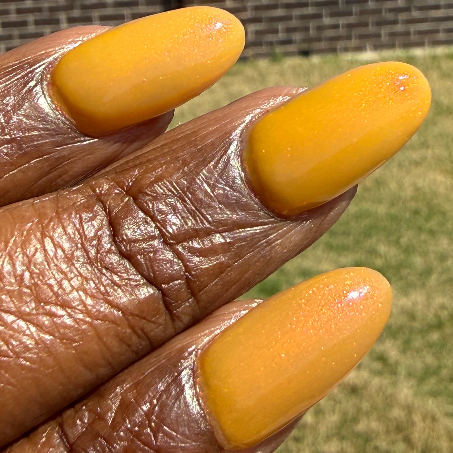 Highlighter