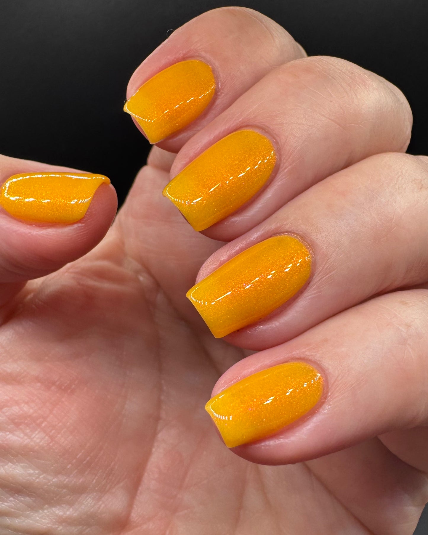 Highlighter