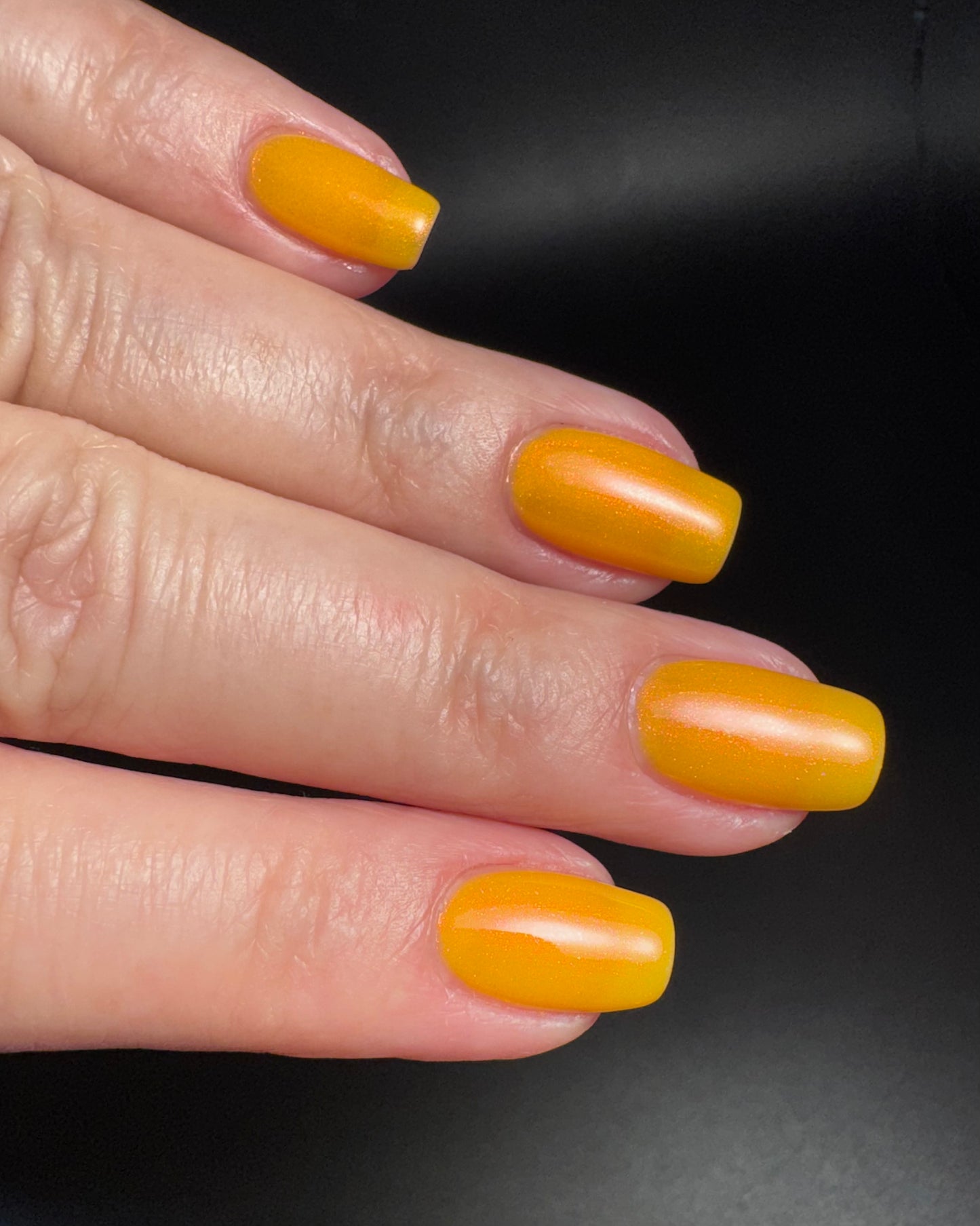 Highlighter