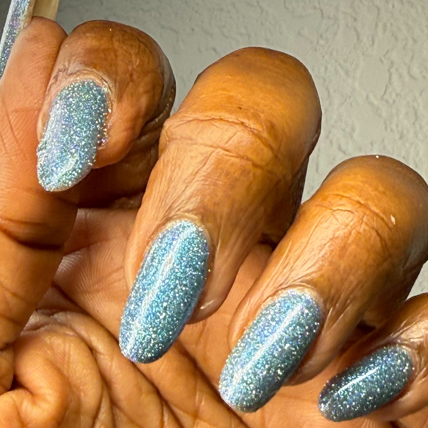 SPARK-A-LEE FOR LIFE (reflective glitter)