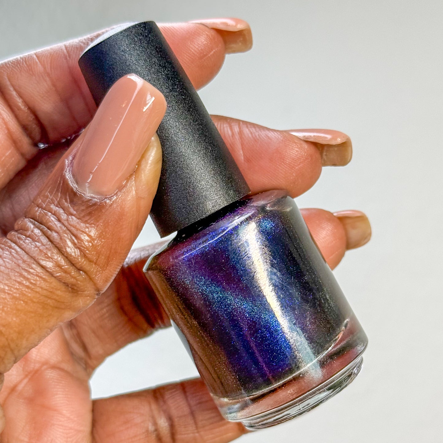 ONLY PETS ALLOWED (magnetic)