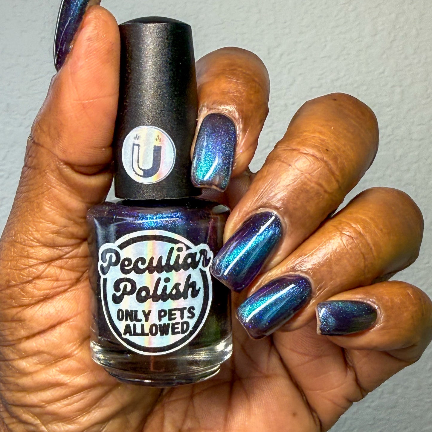 ONLY PETS ALLOWED (magnetic)