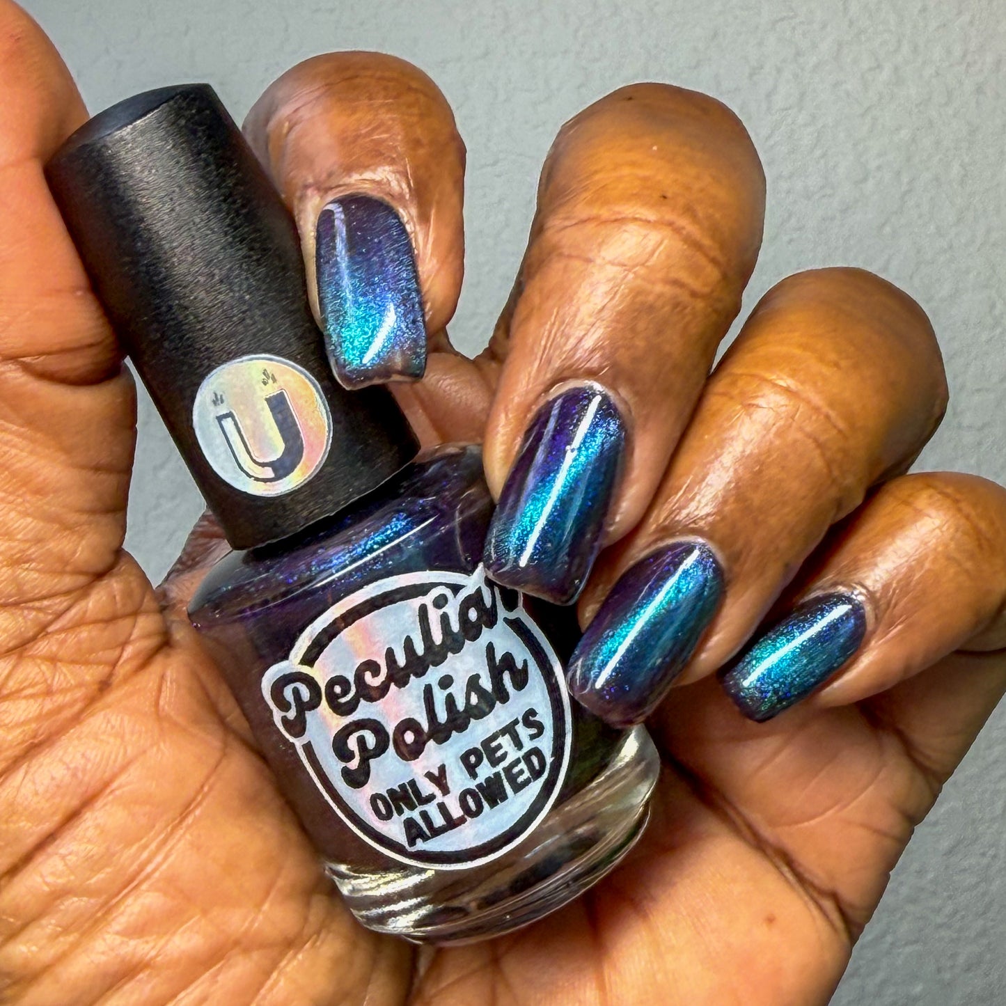 ONLY PETS ALLOWED (magnetic)