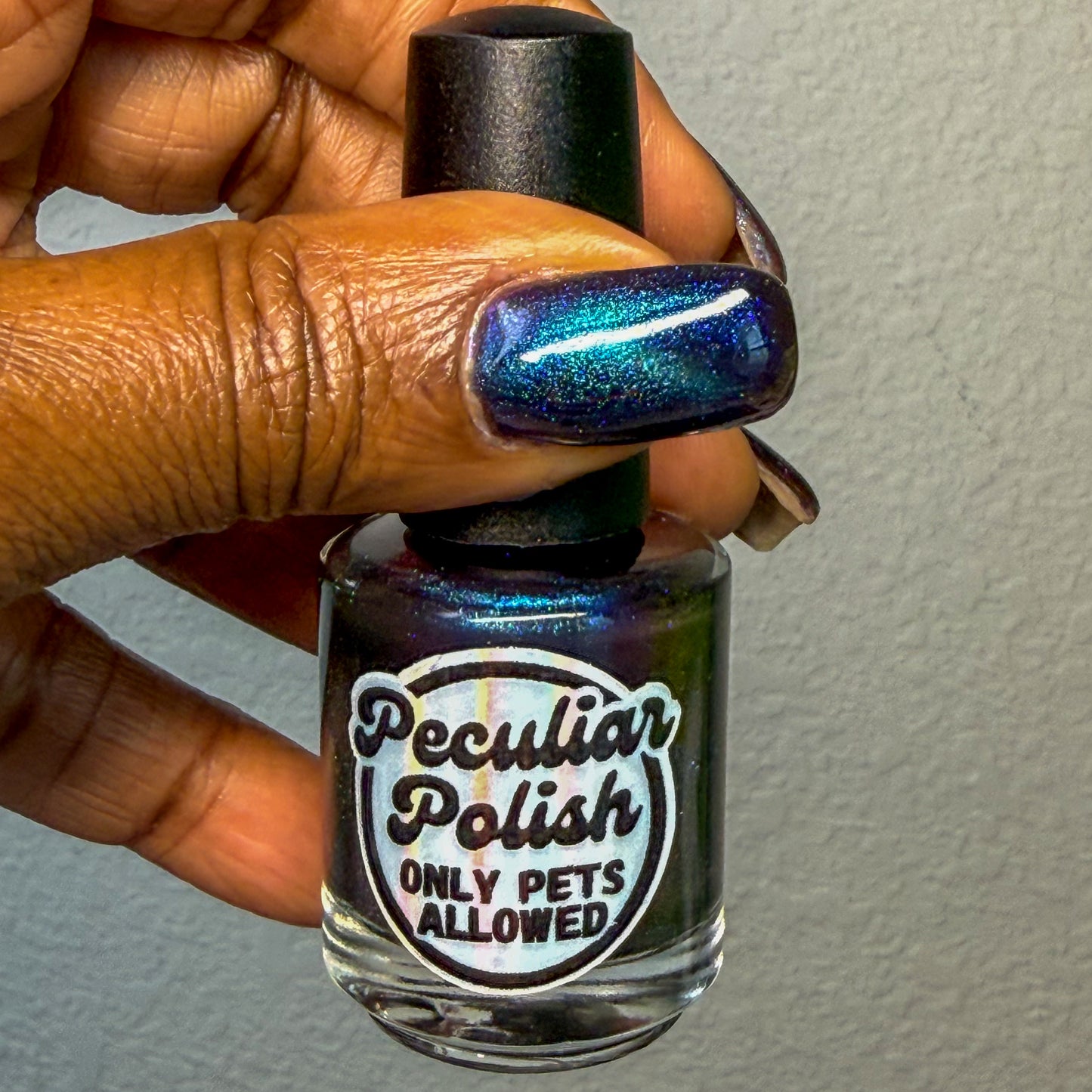 ONLY PETS ALLOWED (magnetic)