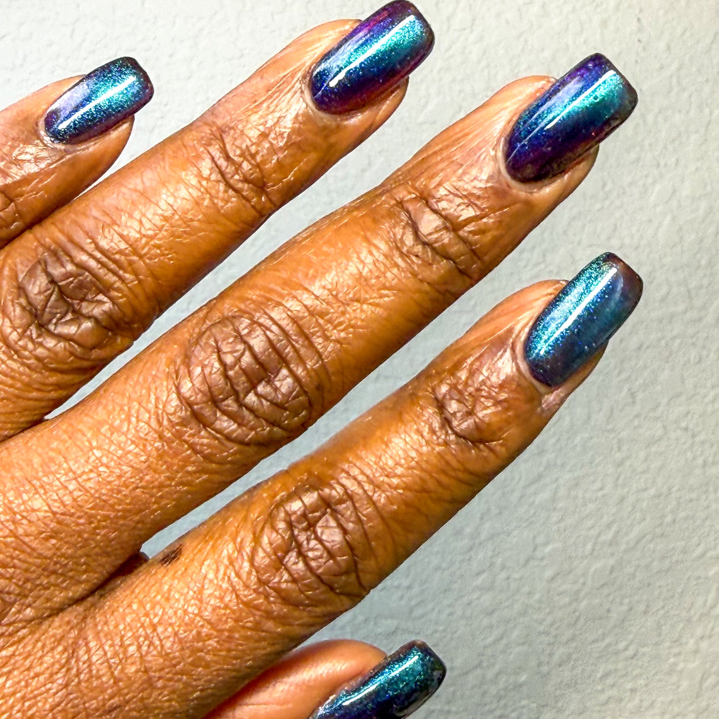 ONLY PETS ALLOWED (magnetic)