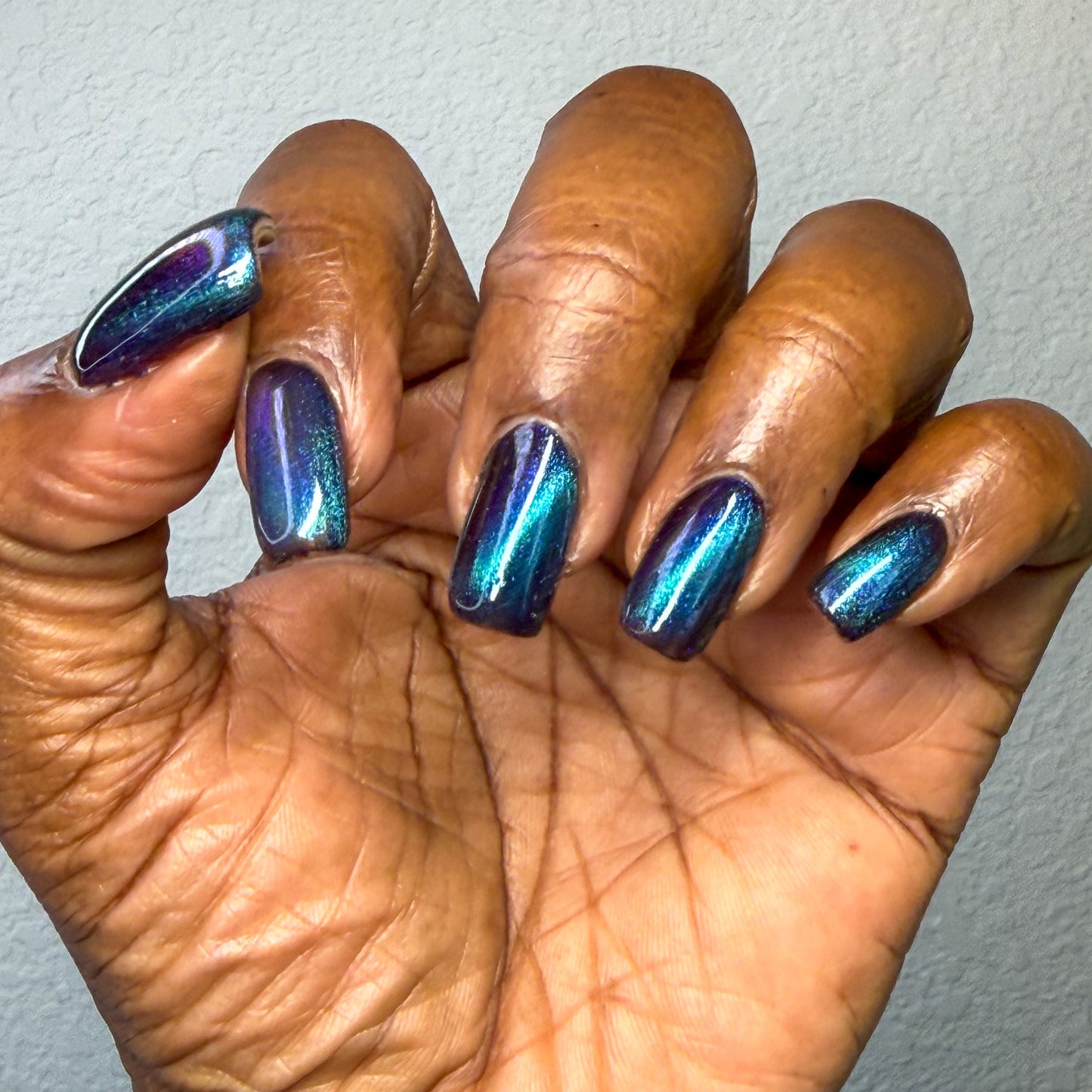 ONLY PETS ALLOWED (magnetic)