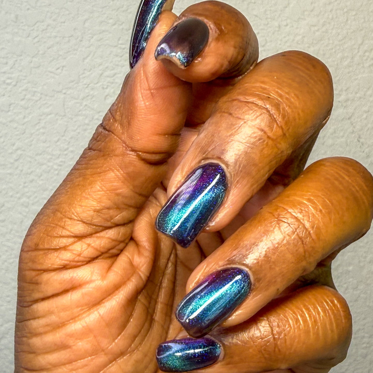 ONLY PETS ALLOWED (magnetic)