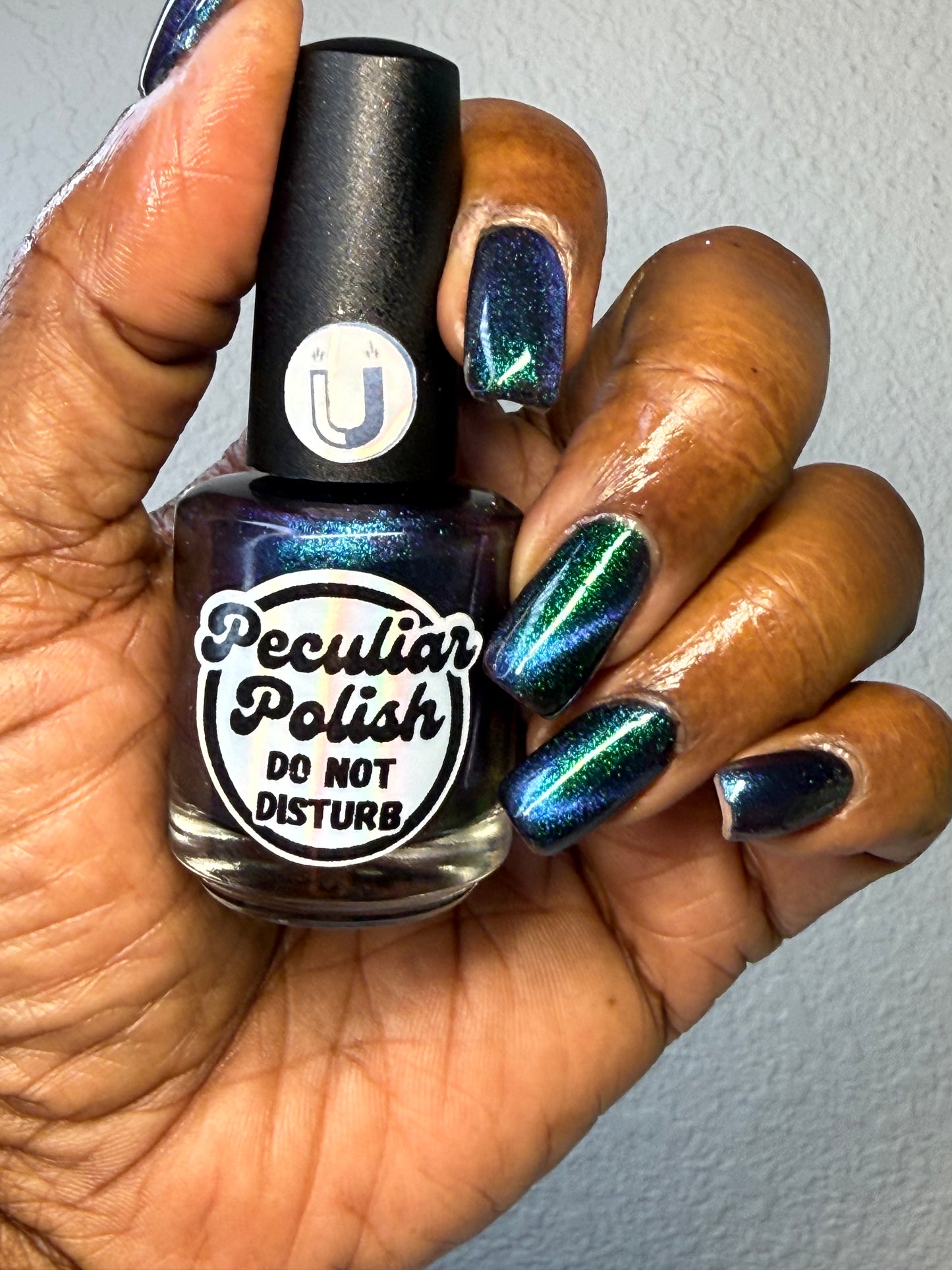 DO NOT DISTURB (magnetic)