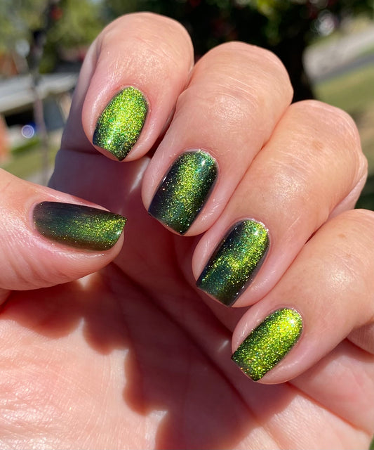 I AM THE MOOD (magnetic)