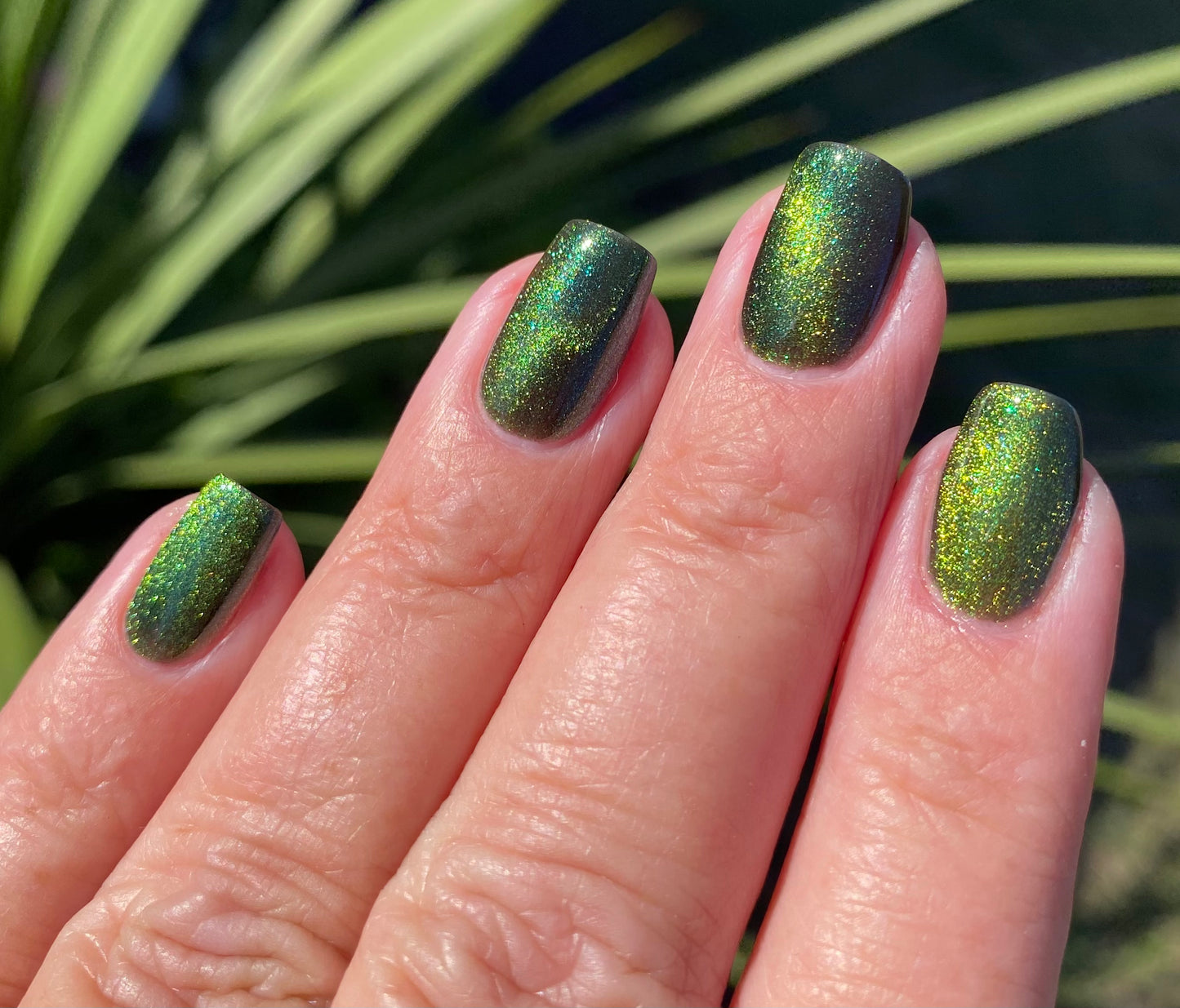 I AM THE MOOD (magnetic)