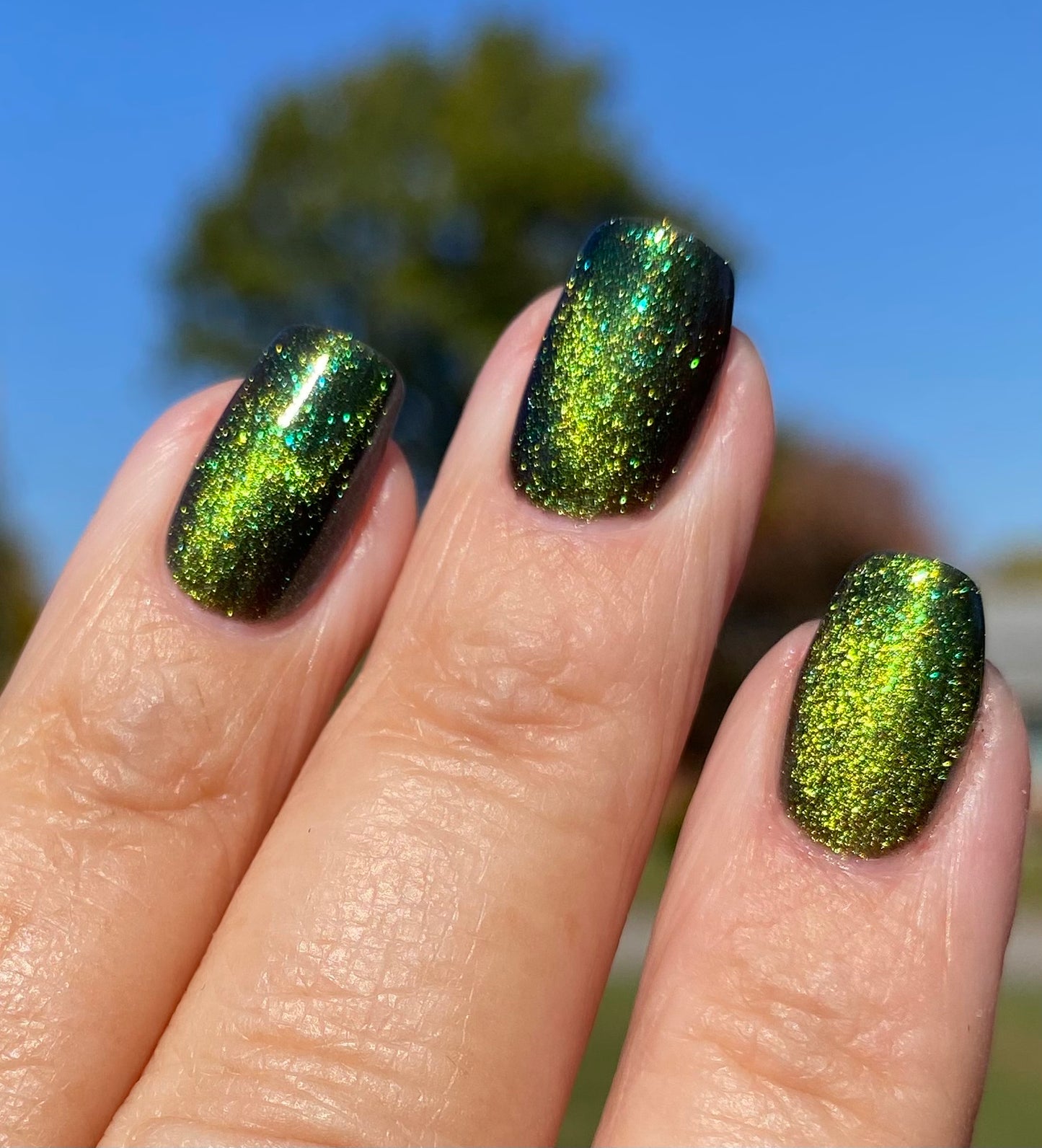 I AM THE MOOD (magnetic)