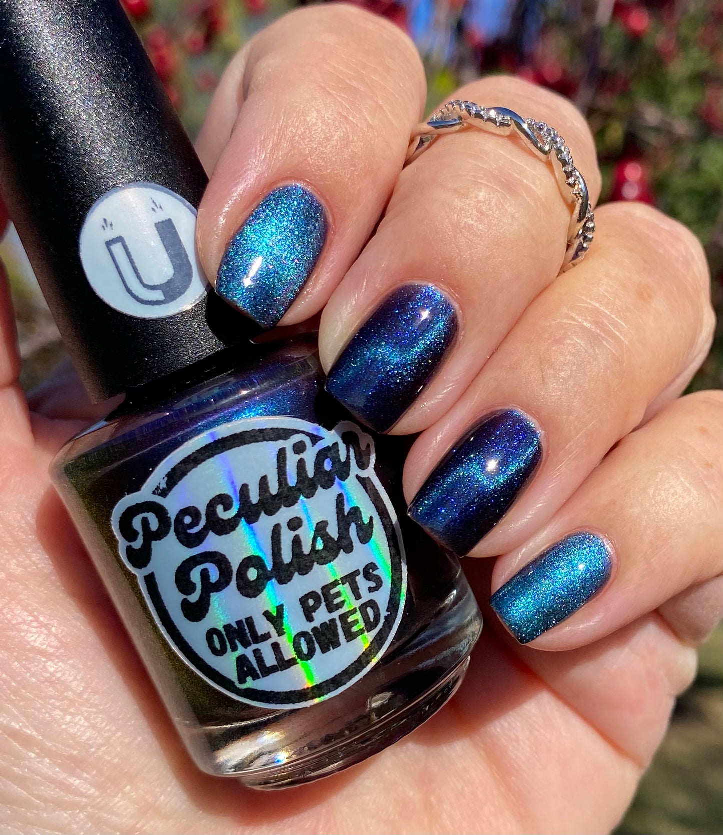 ONLY PETS ALLOWED (magnetic)