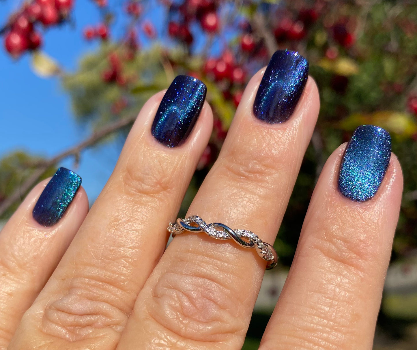 ONLY PETS ALLOWED (magnetic)