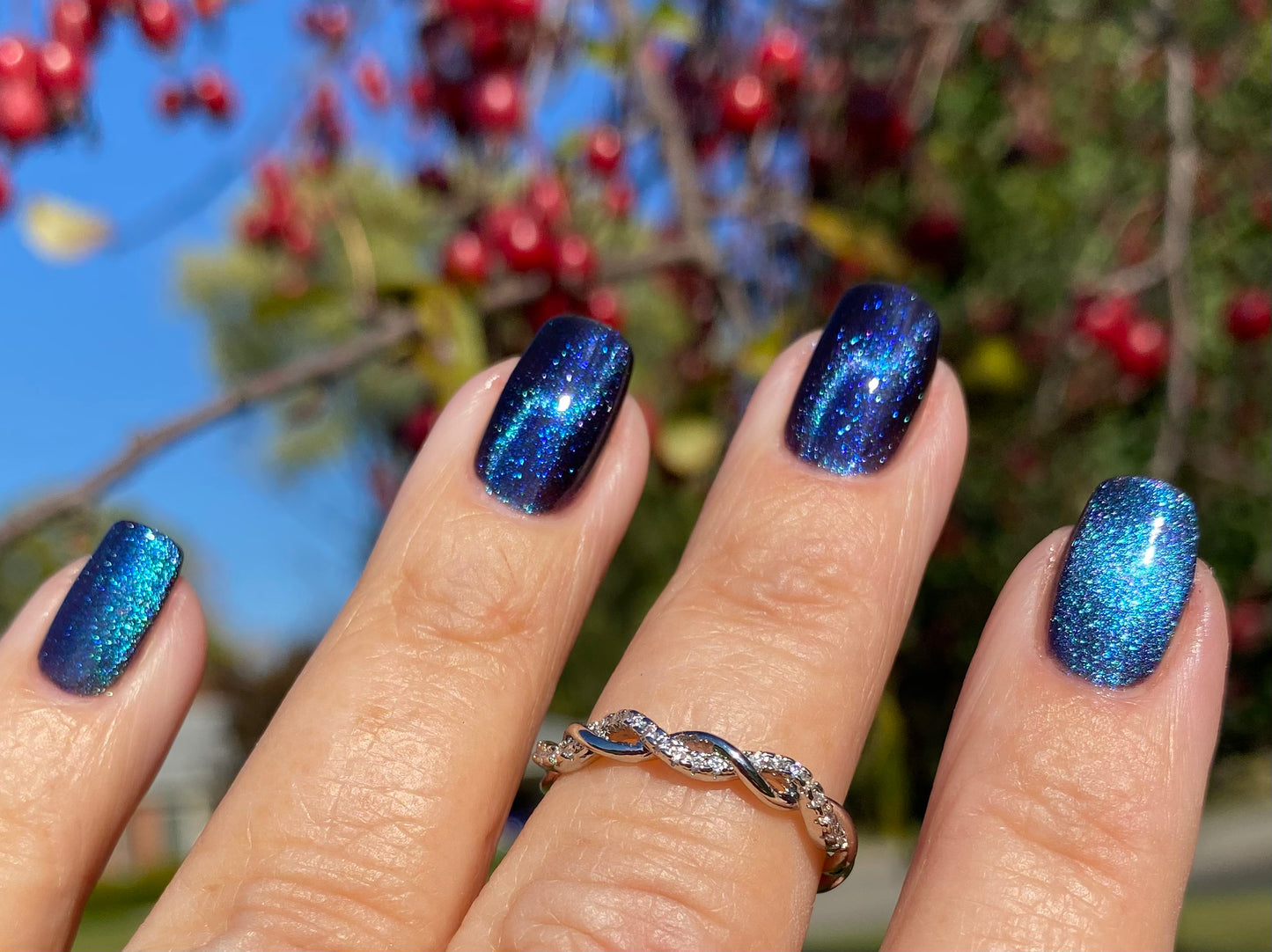 ONLY PETS ALLOWED (magnetic)