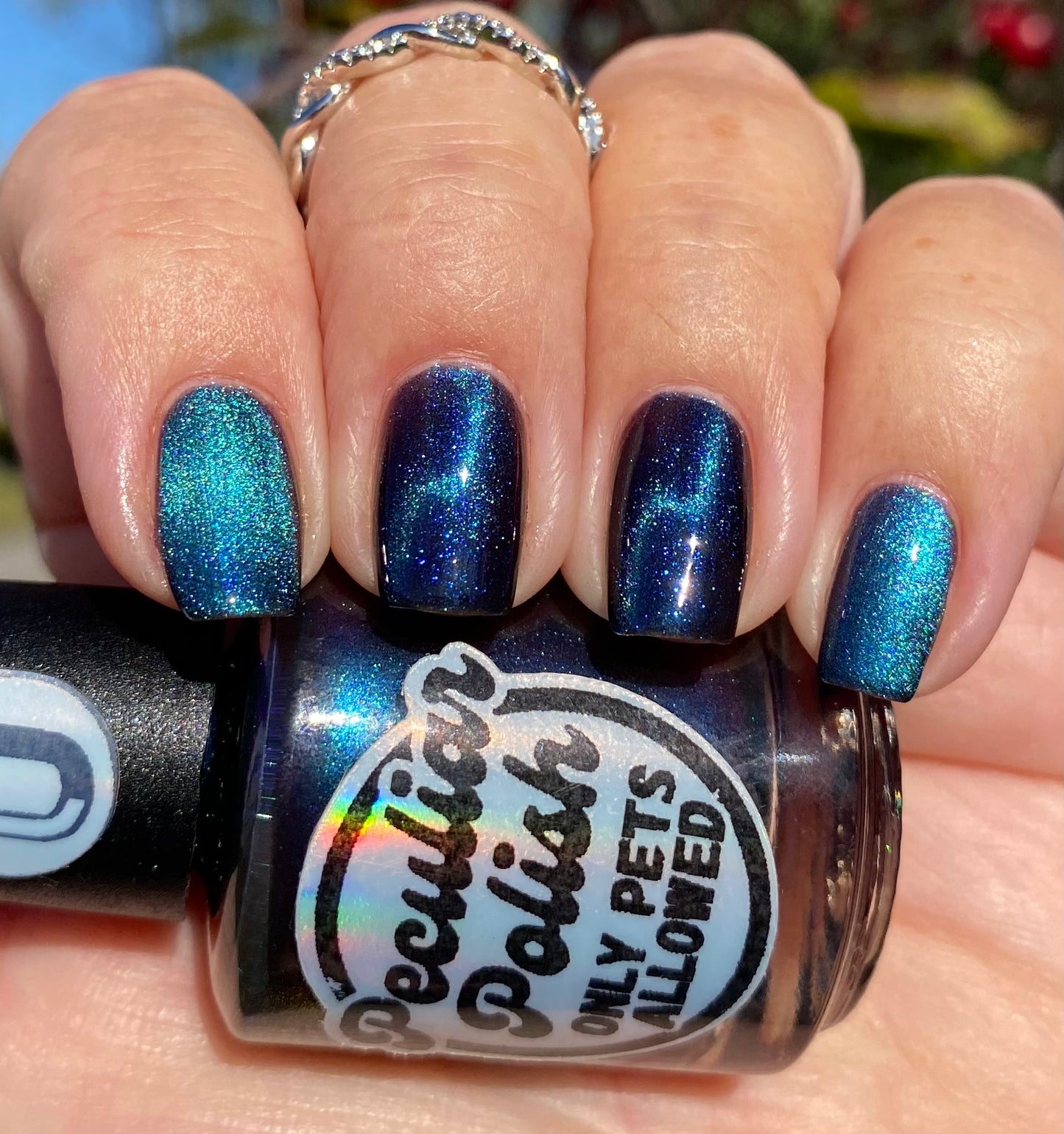 ONLY PETS ALLOWED (magnetic)