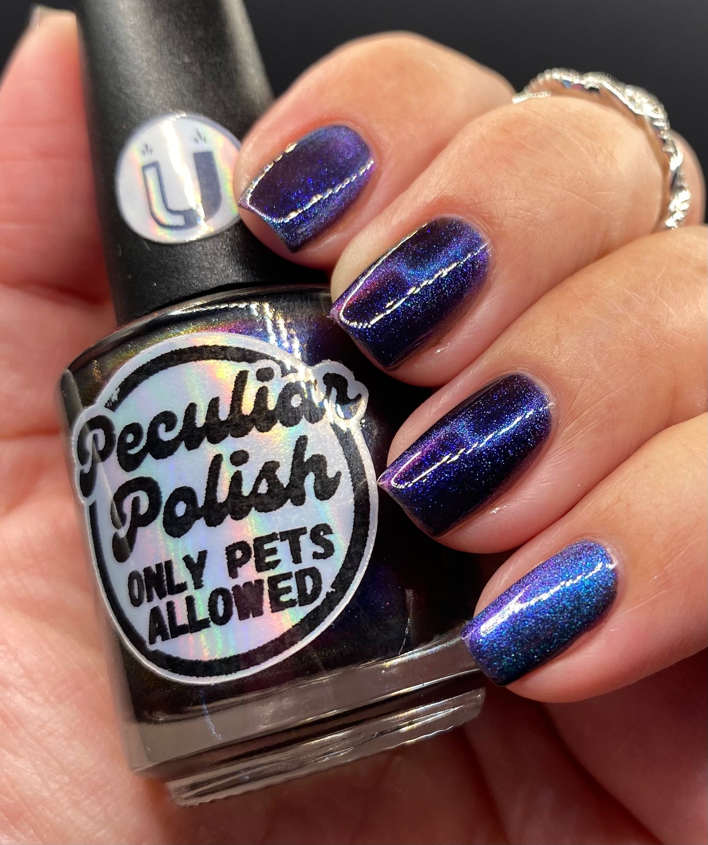 ONLY PETS ALLOWED (magnetic)