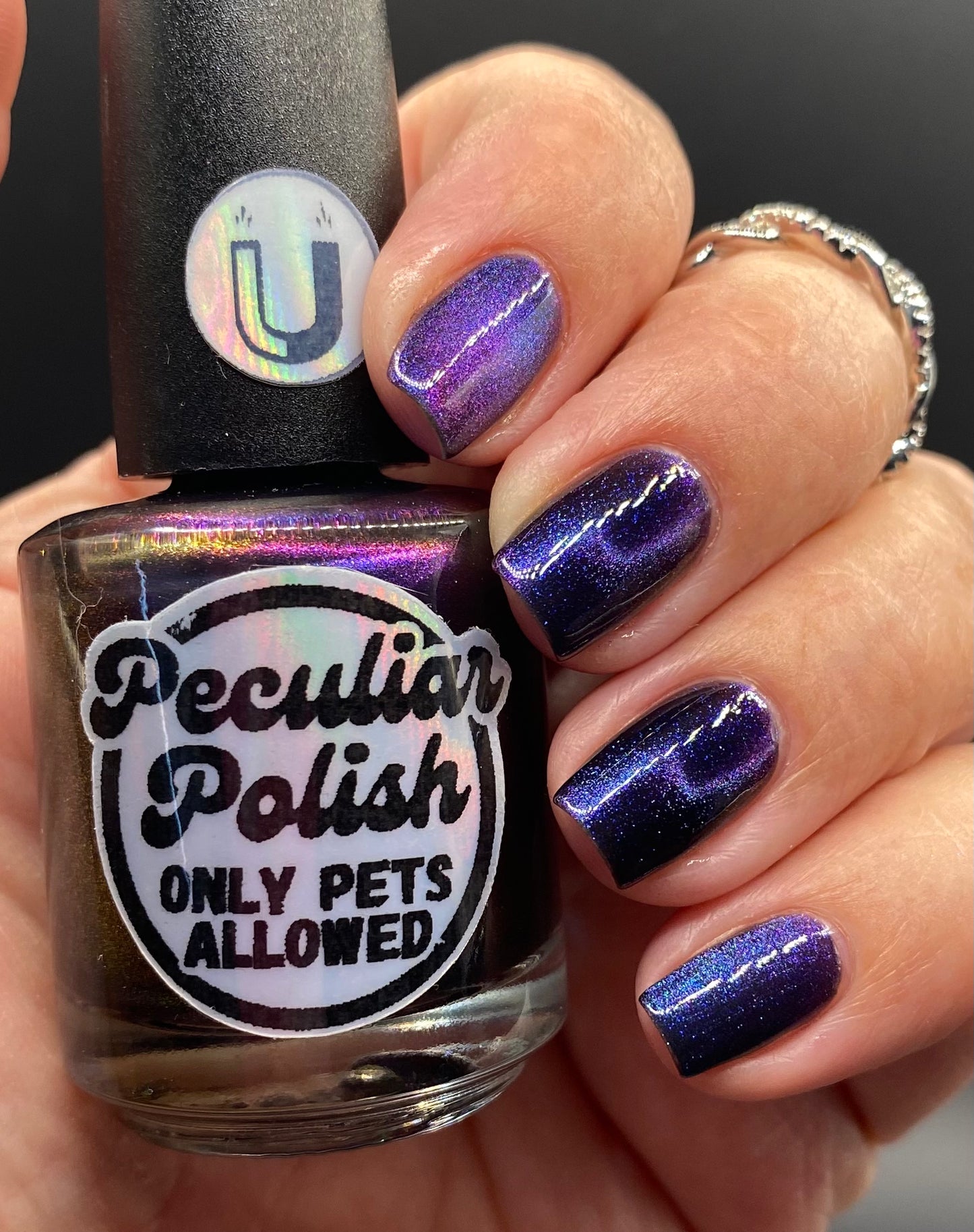 ONLY PETS ALLOWED (magnetic)