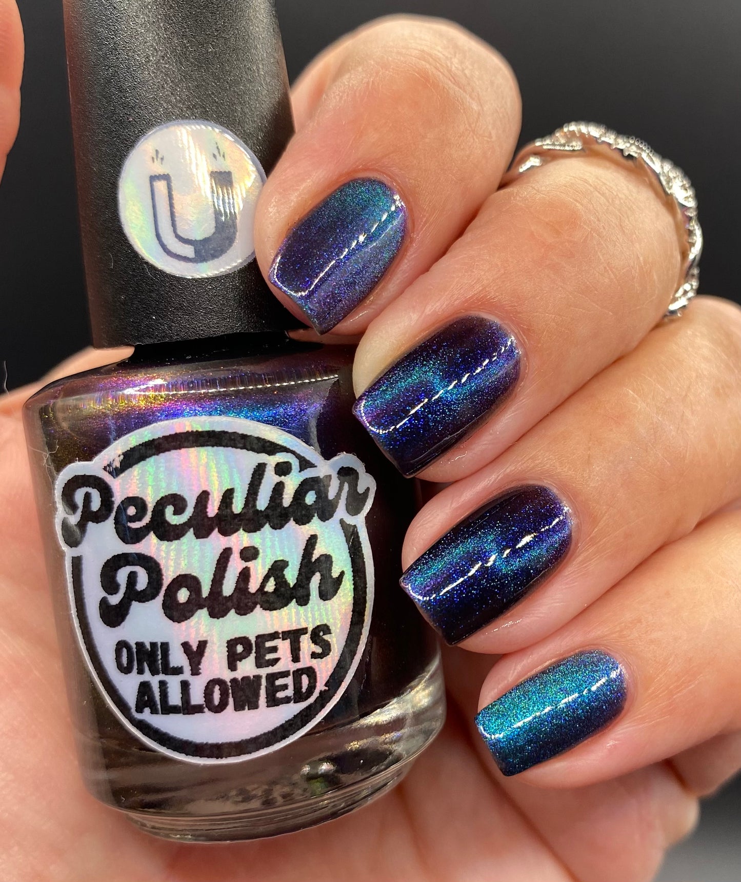 ONLY PETS ALLOWED (magnetic)