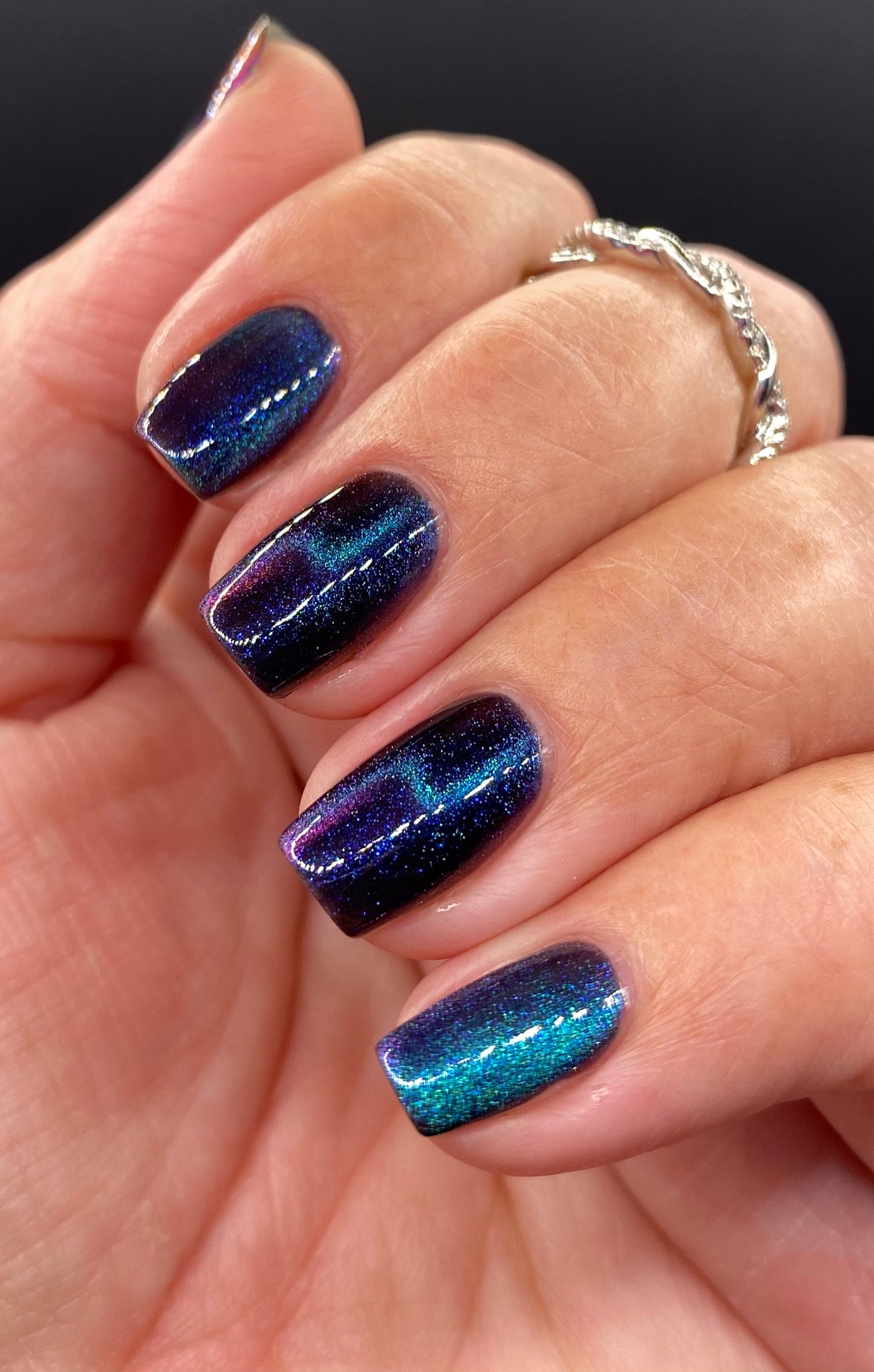 ONLY PETS ALLOWED (magnetic)