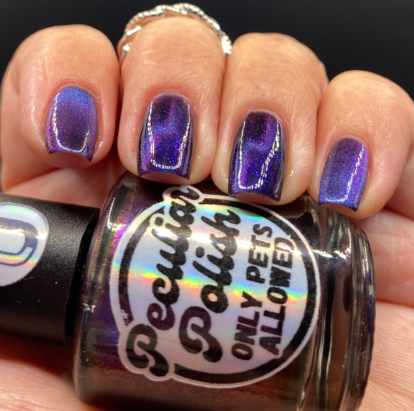 ONLY PETS ALLOWED (magnetic)