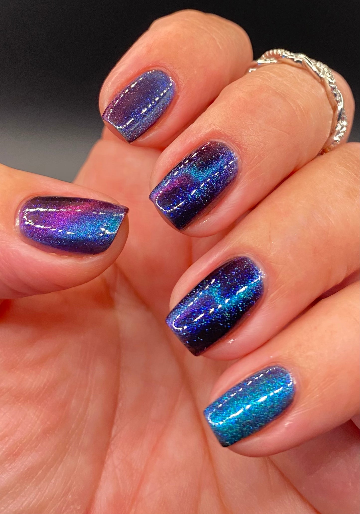 ONLY PETS ALLOWED (magnetic)