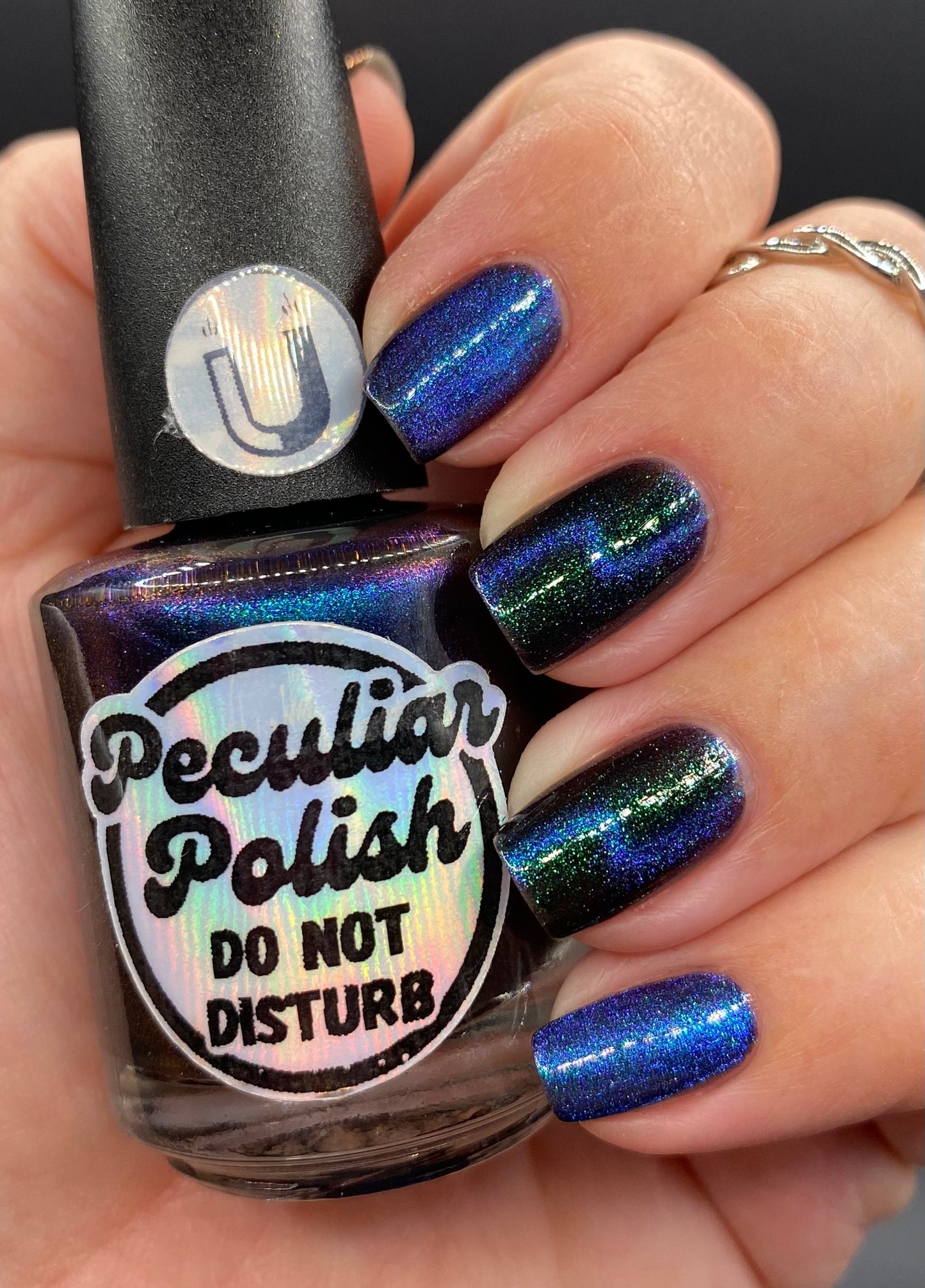 DO NOT DISTURB (magnetic)