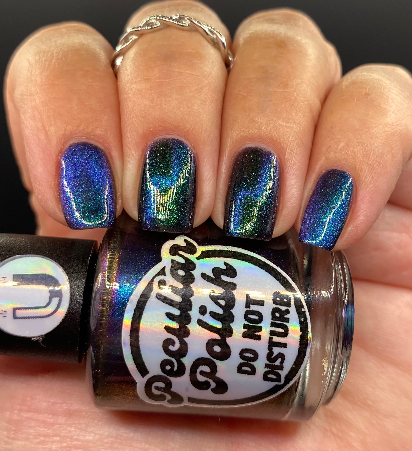 DO NOT DISTURB (magnetic)