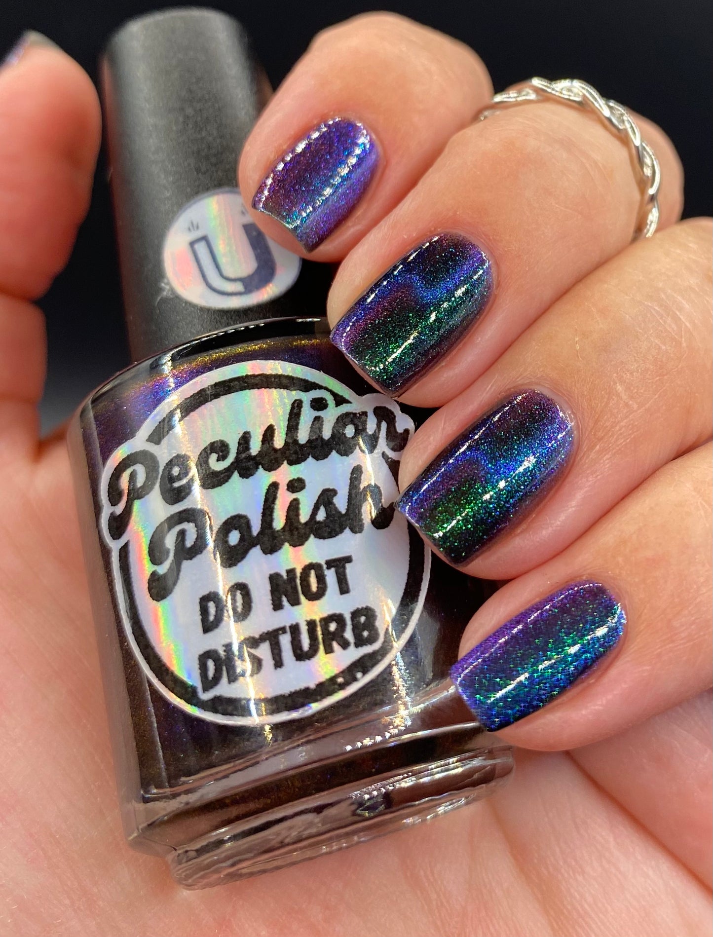 DO NOT DISTURB (magnetic)