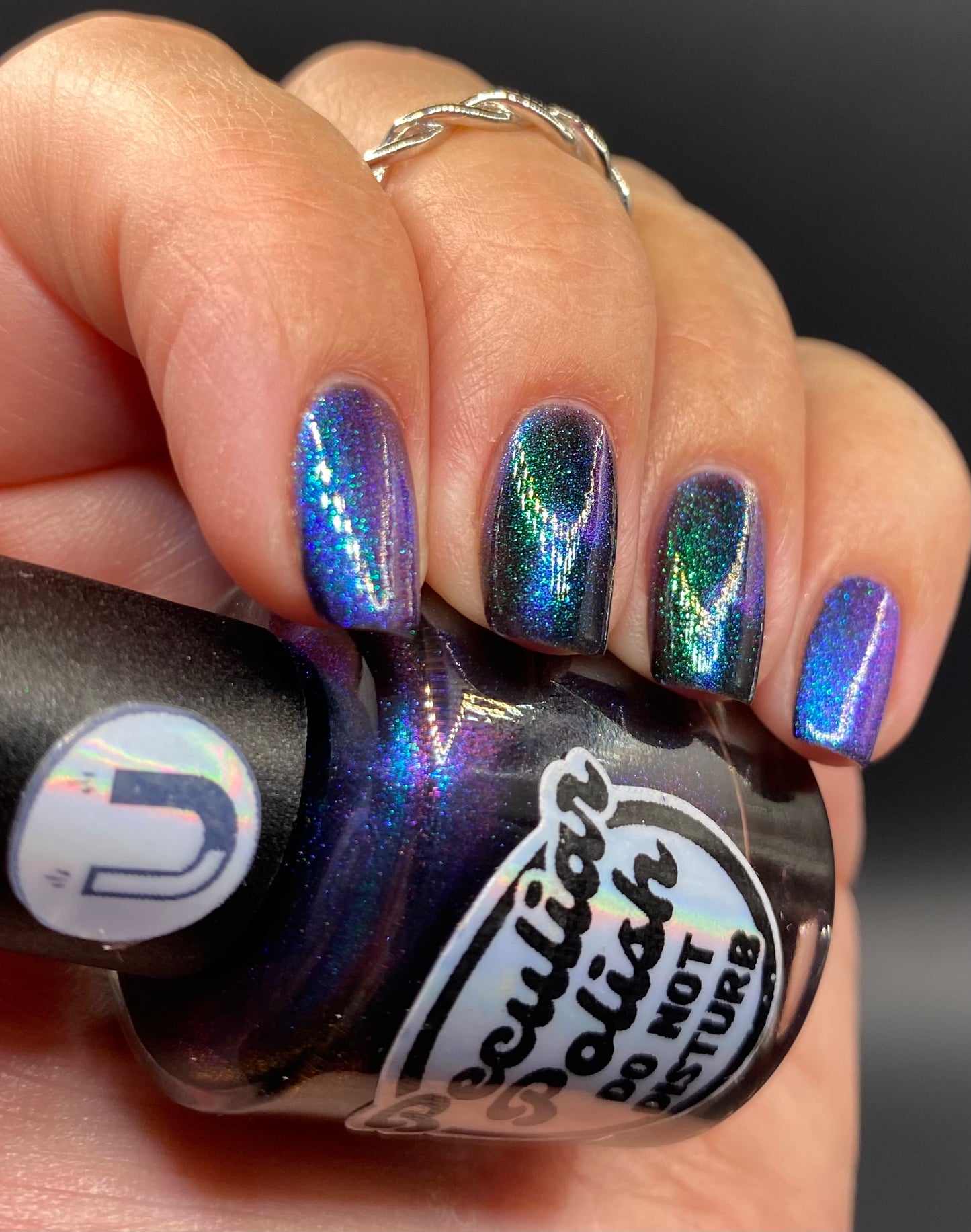 DO NOT DISTURB (magnetic)