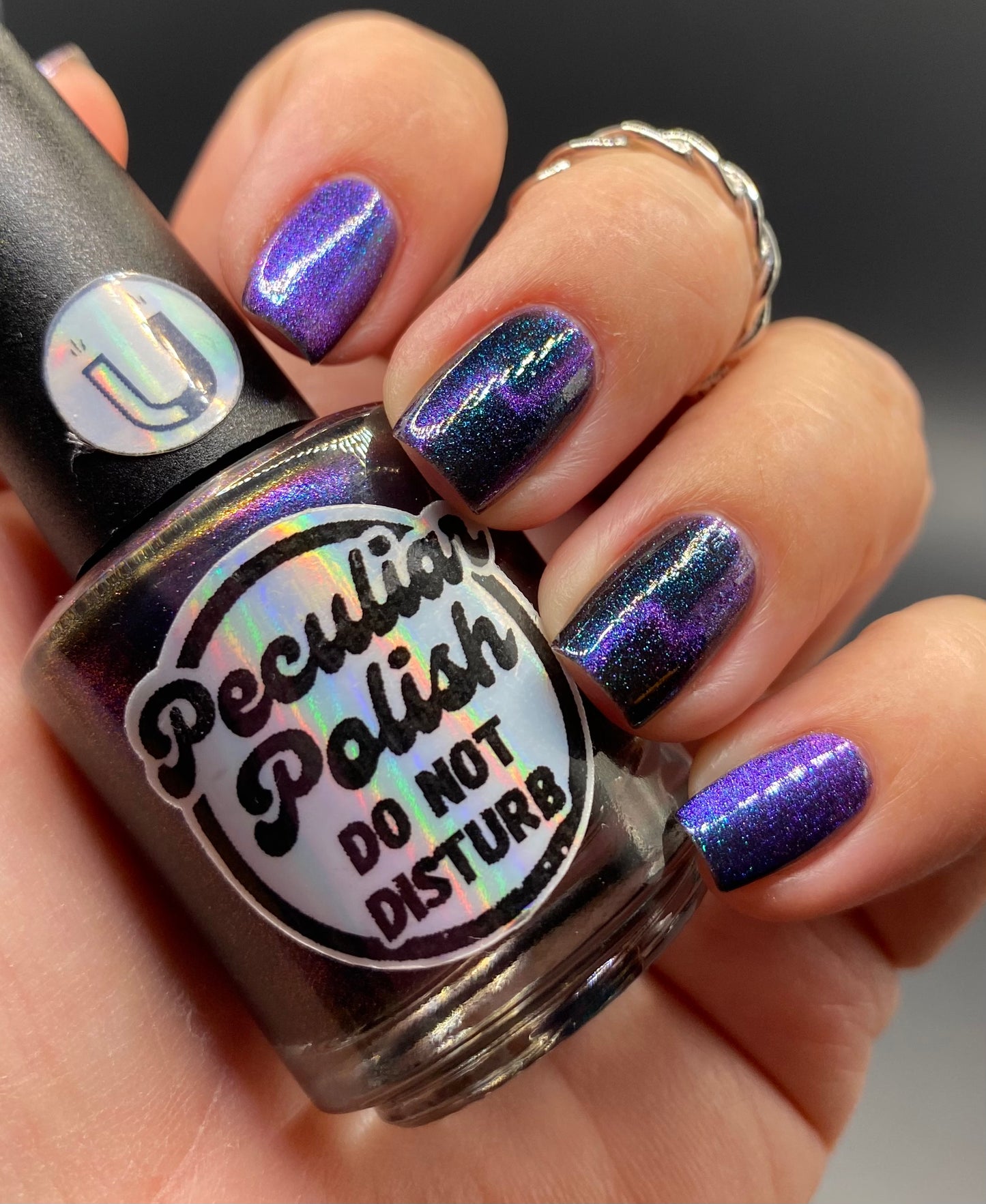 DO NOT DISTURB (magnetic)