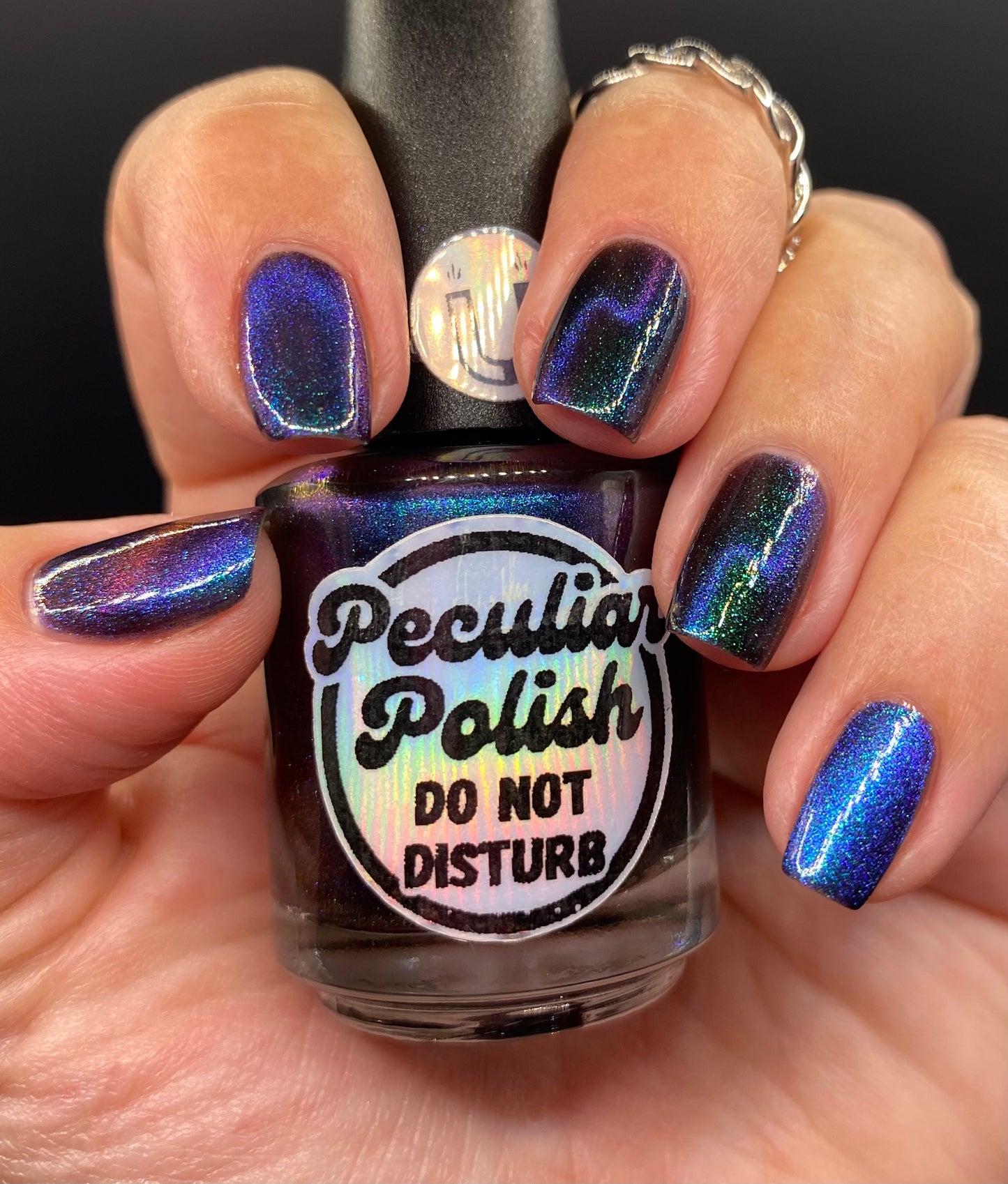 DO NOT DISTURB (magnetic)