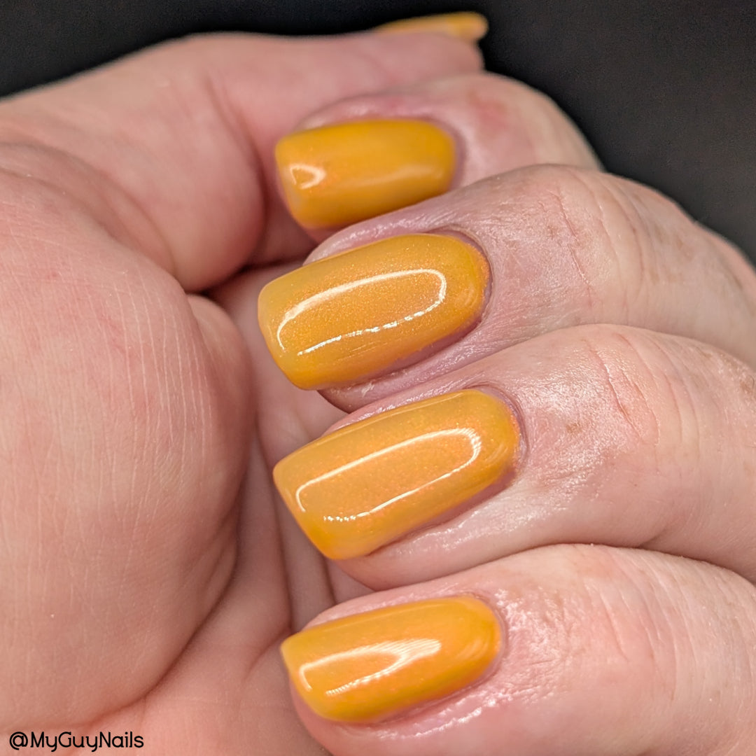 Highlighter