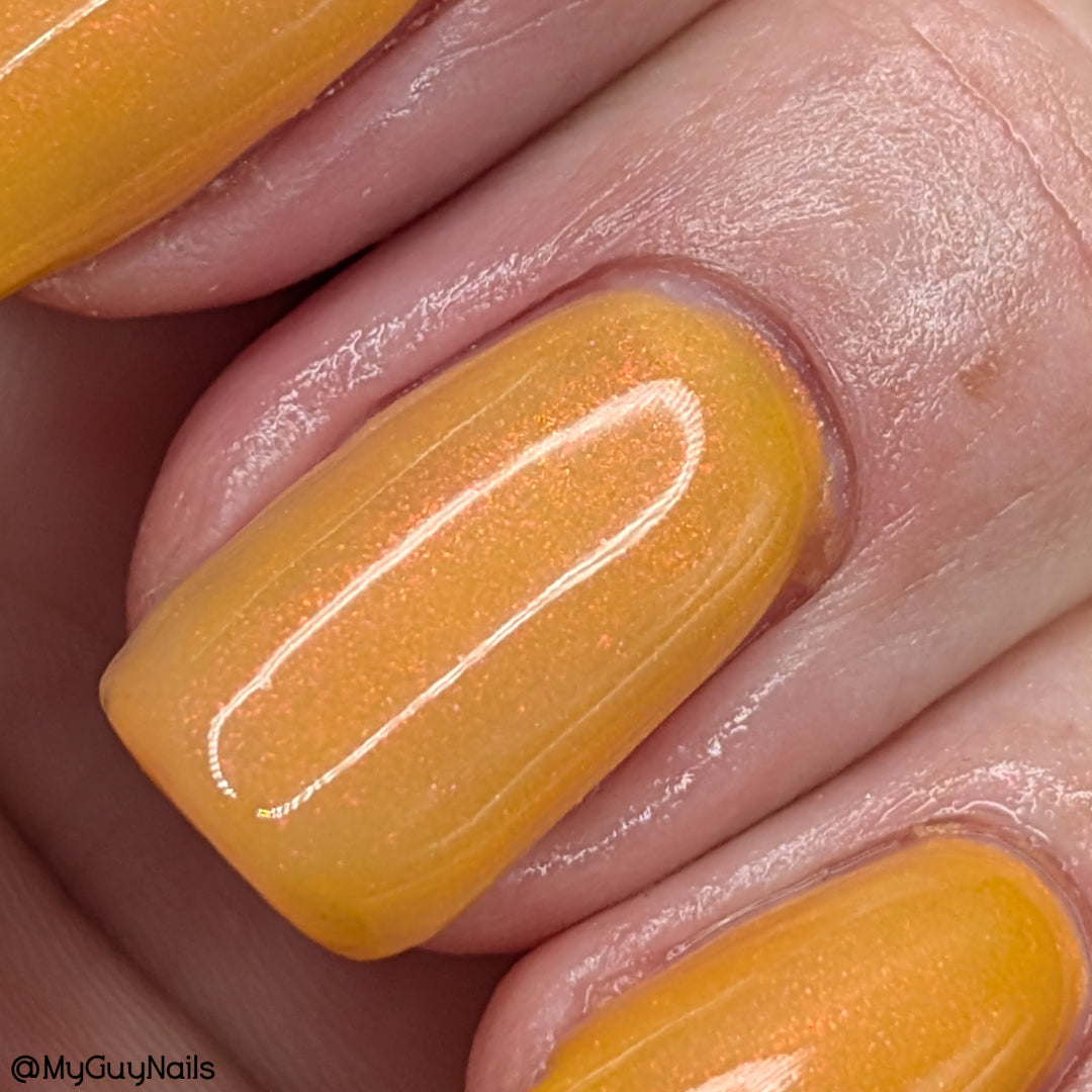 Highlighter