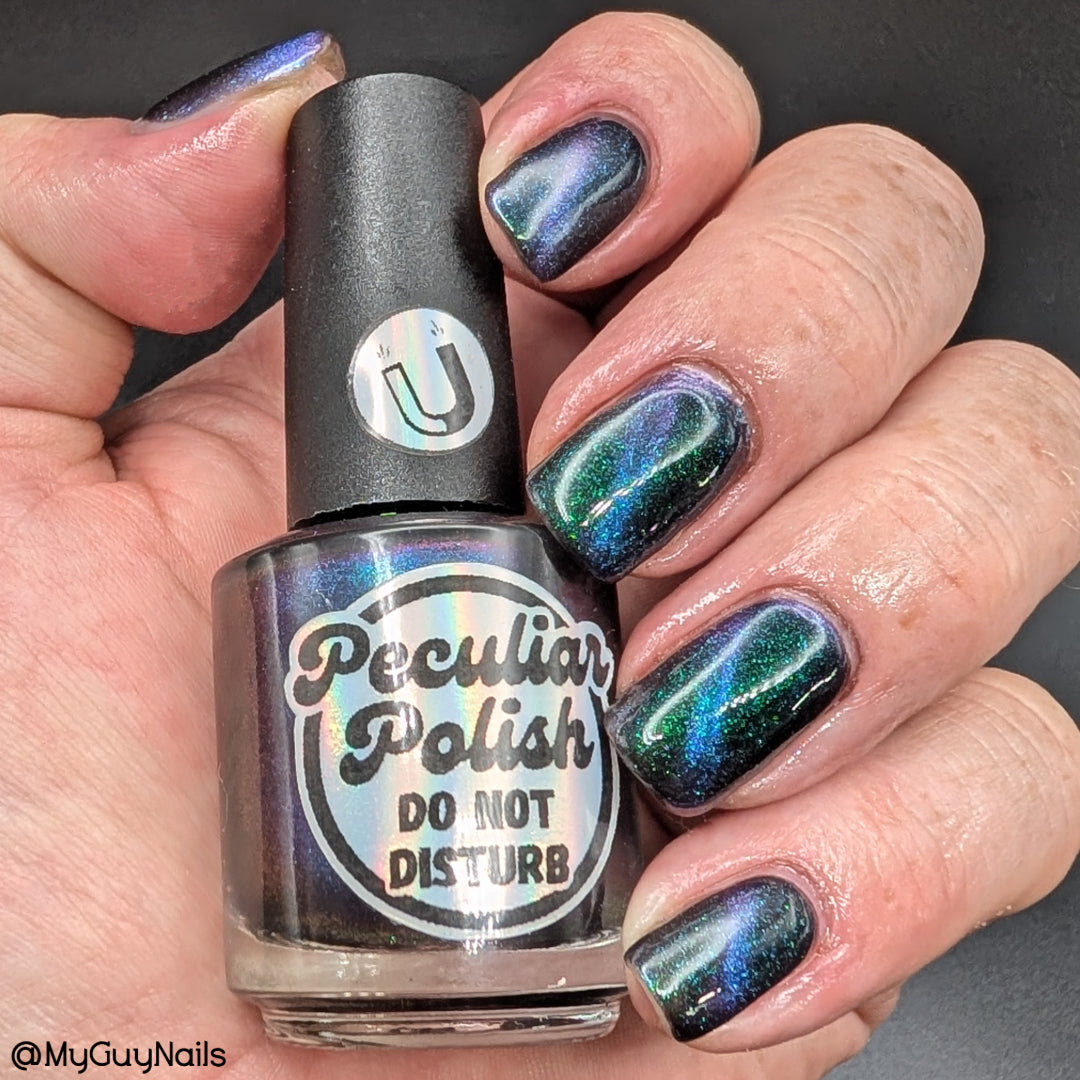 DO NOT DISTURB (magnetic)