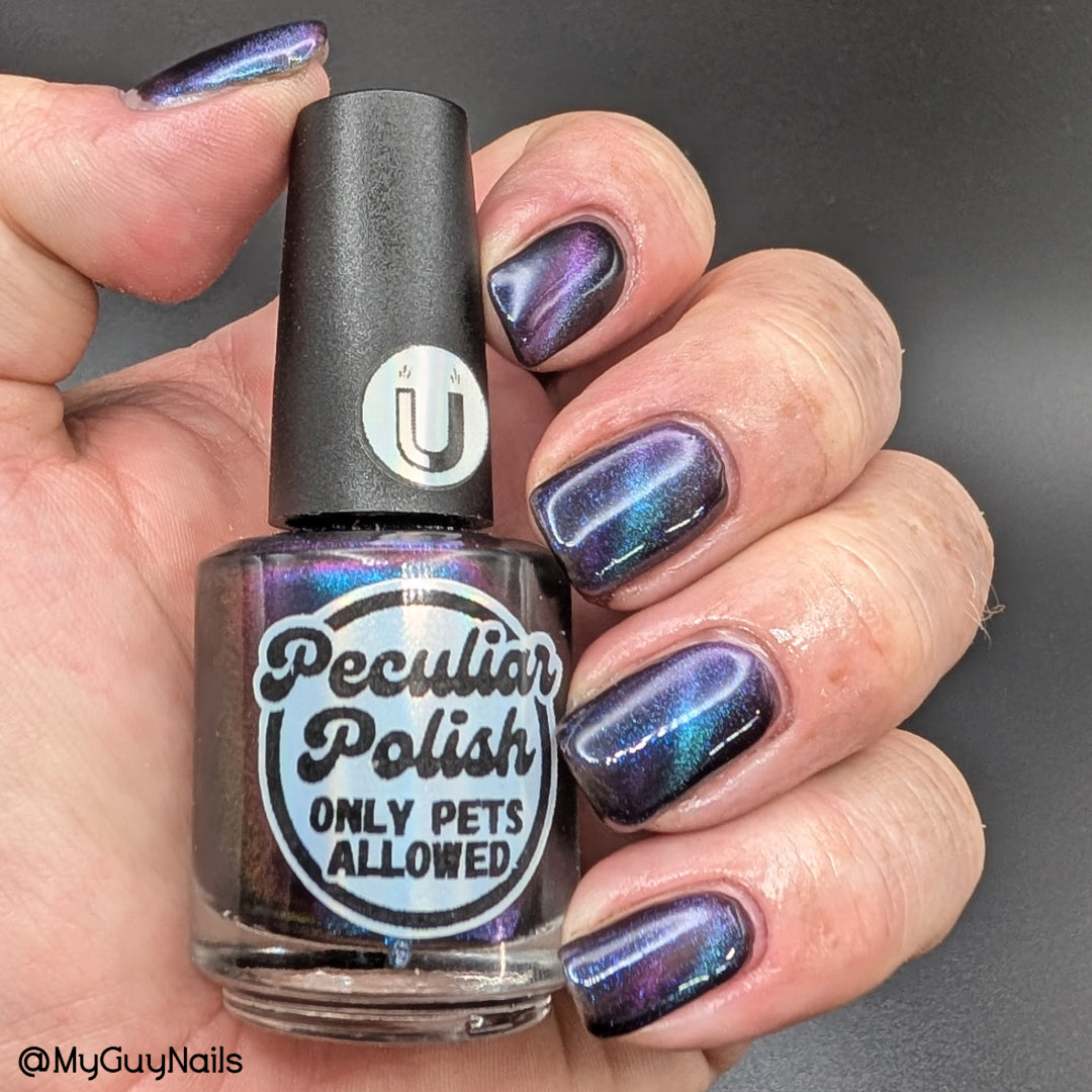 ONLY PETS ALLOWED (magnetic)