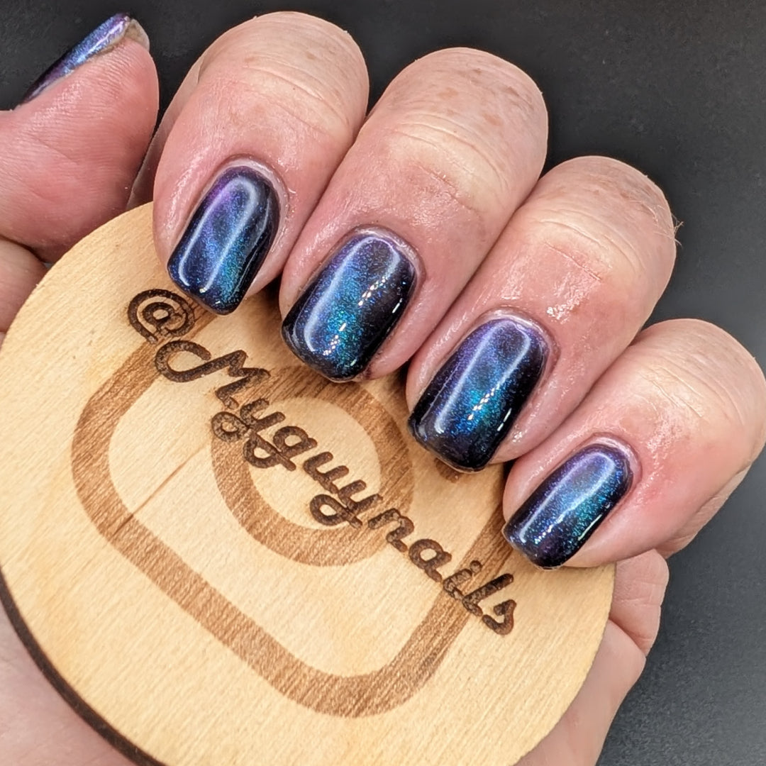 ONLY PETS ALLOWED (magnetic)