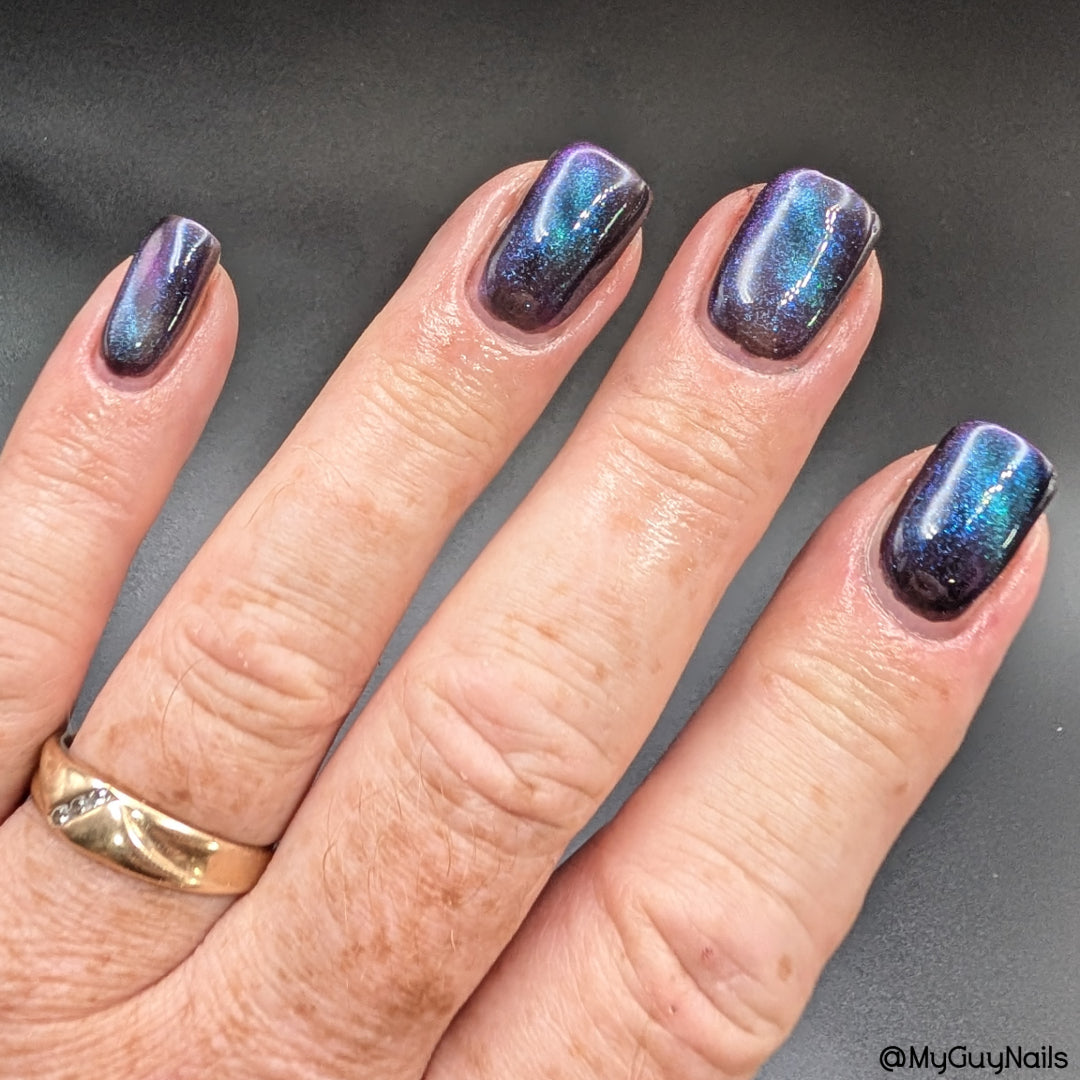 ONLY PETS ALLOWED (magnetic)