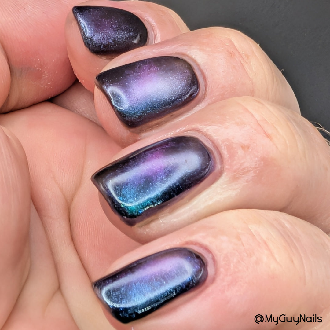 ONLY PETS ALLOWED (magnetic)