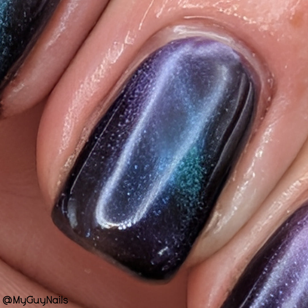 ONLY PETS ALLOWED (magnetic)