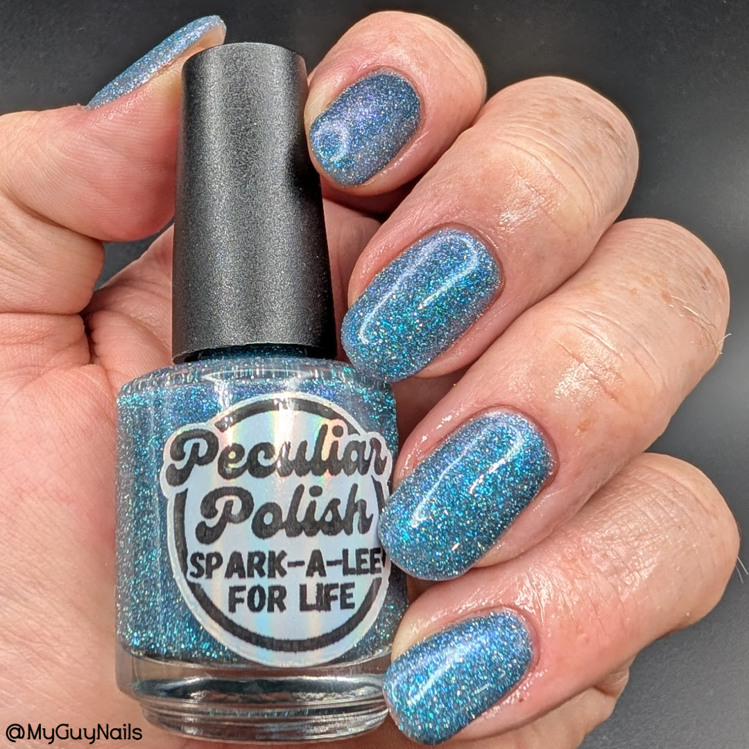 SPARK-A-LEE FOR LIFE (reflective glitter)